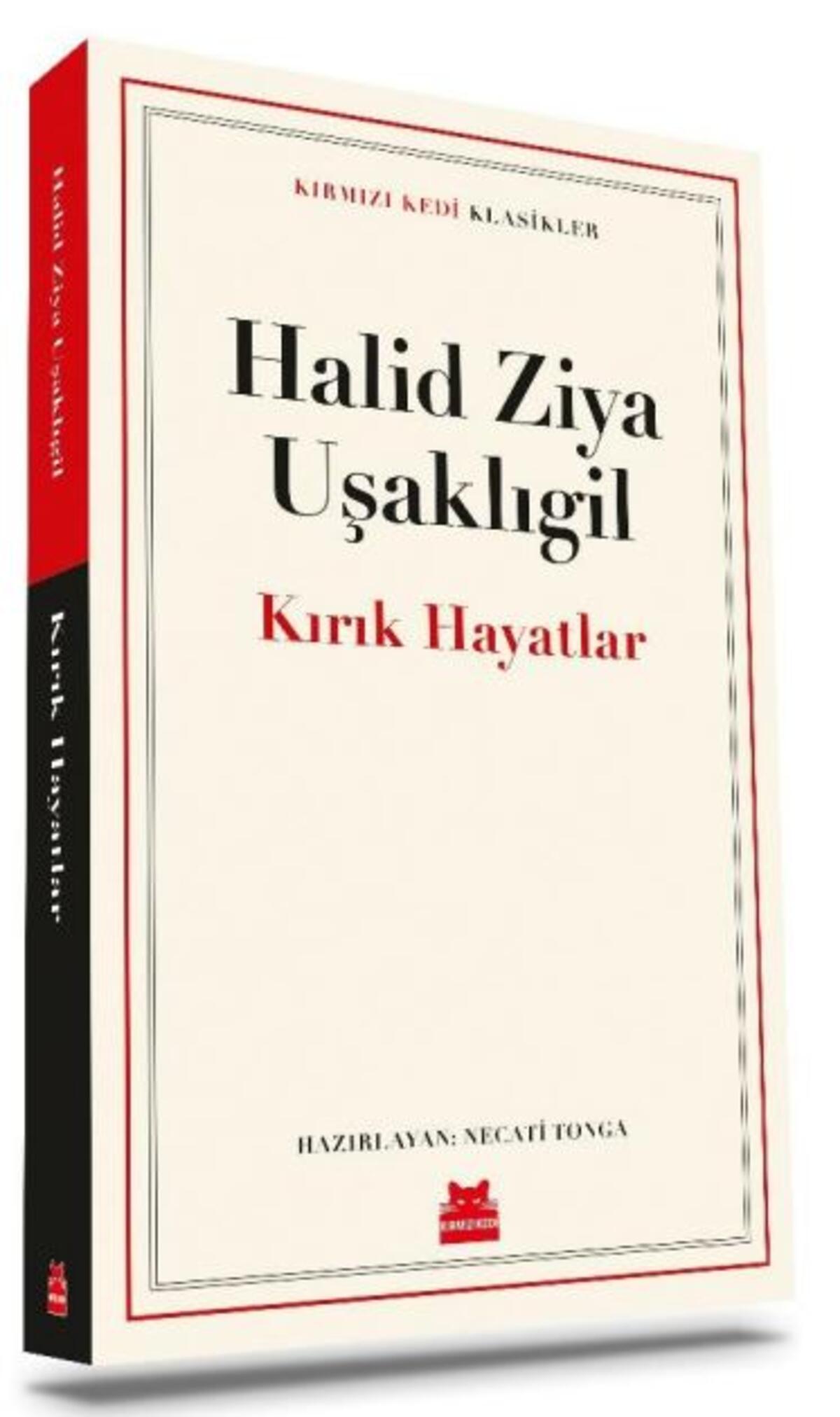 Kırmızı Kedi