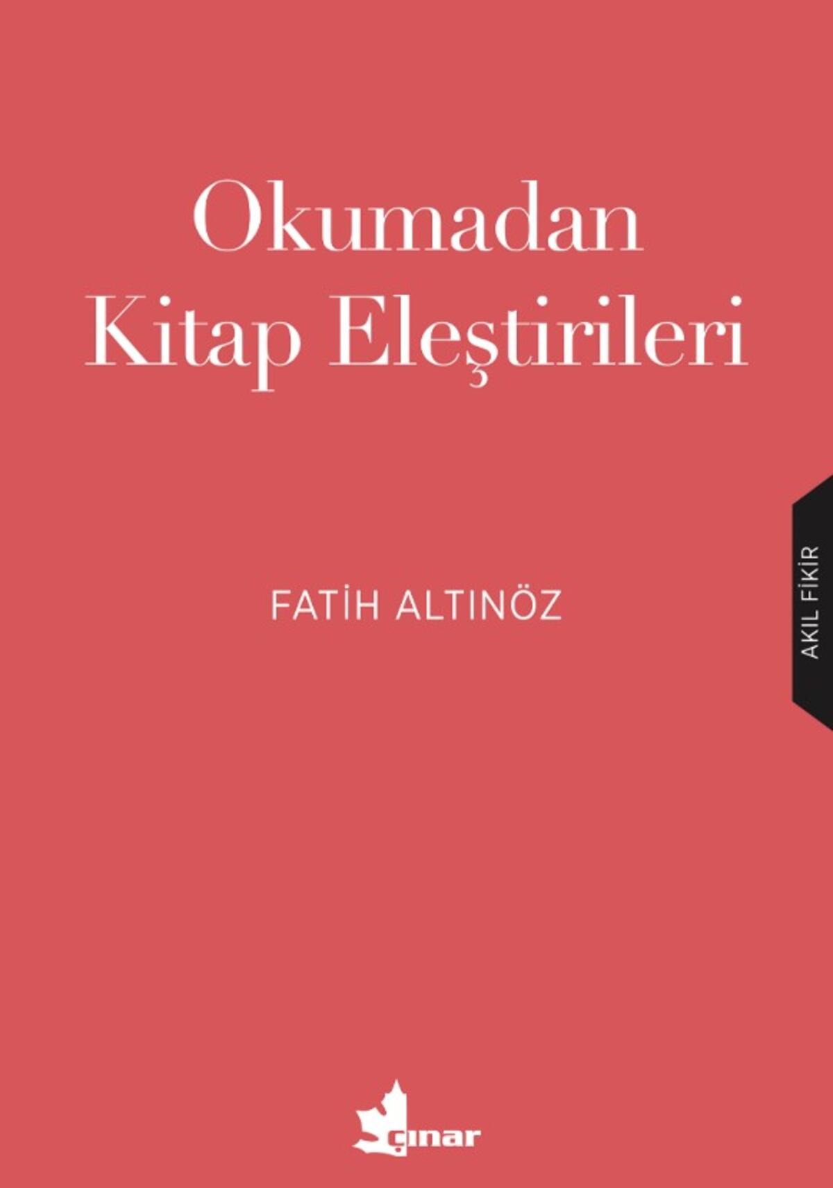 Kırmızı Kedi