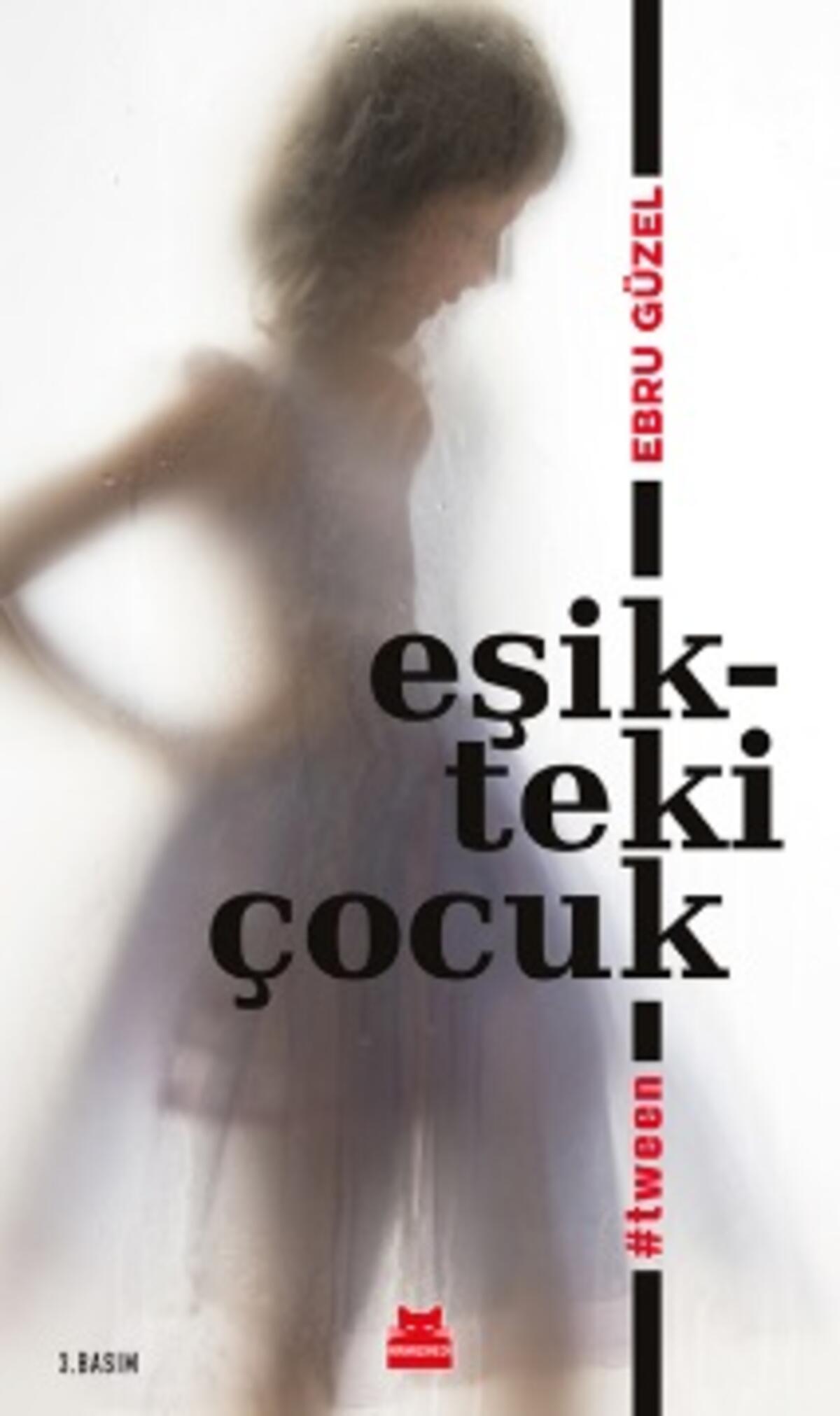 Kırmızı Kedi