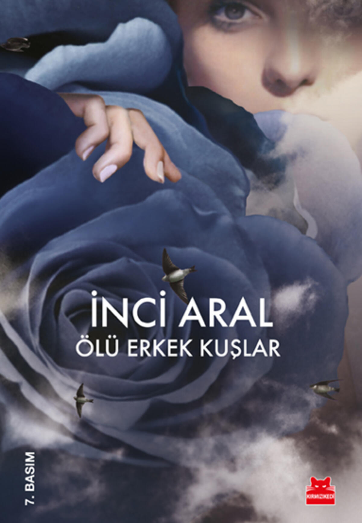 Kırmızı Kedi