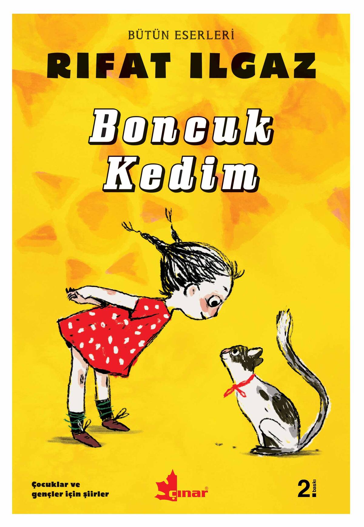 Kırmızı Kedi