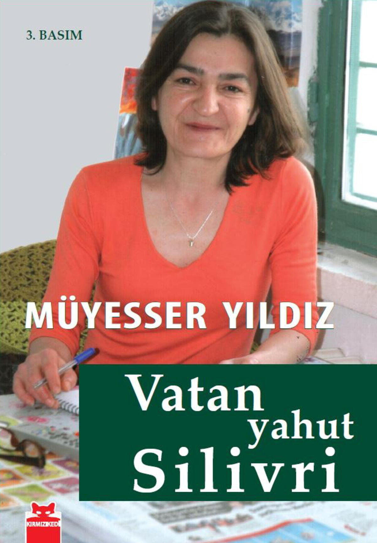 Kırmızı Kedi