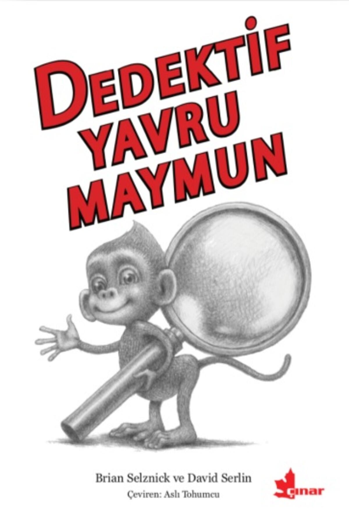 Kırmızı Kedi
