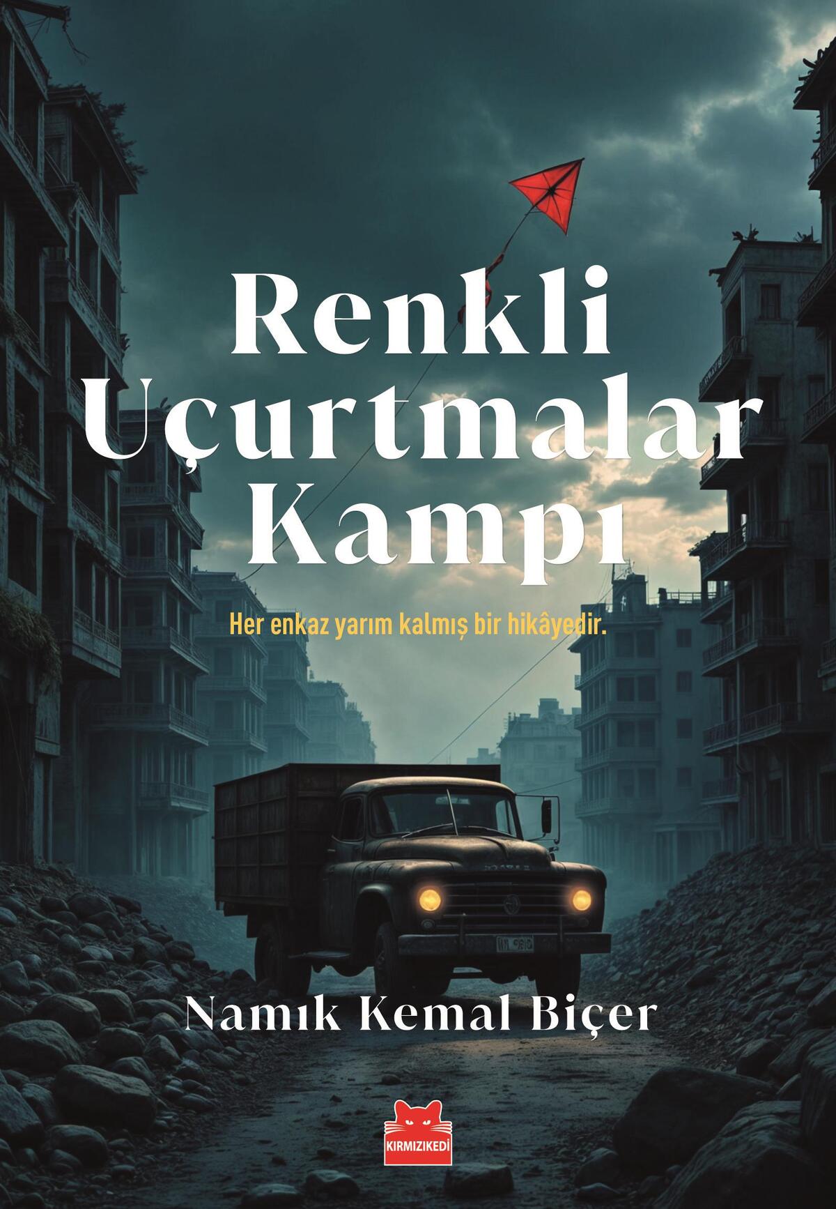 Kırmızı Kedi