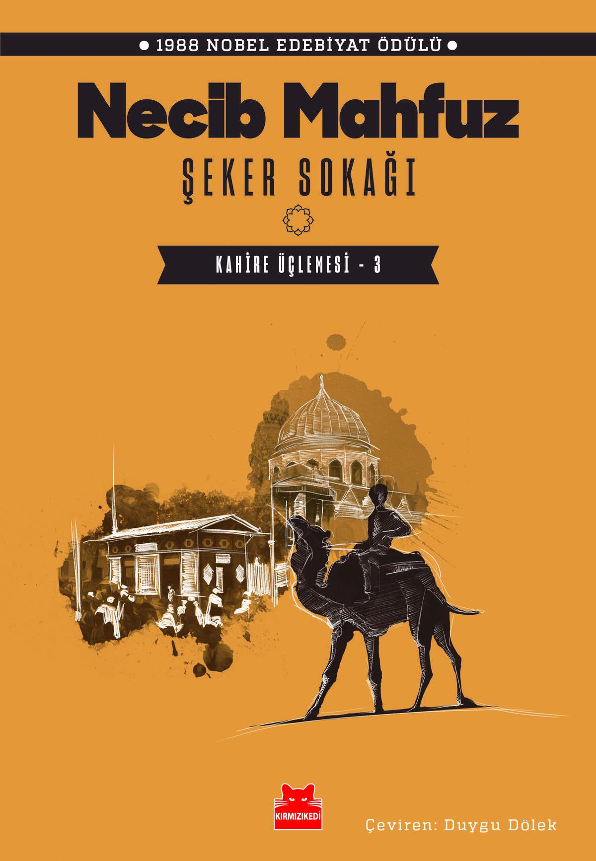 Kırmızı Kedi