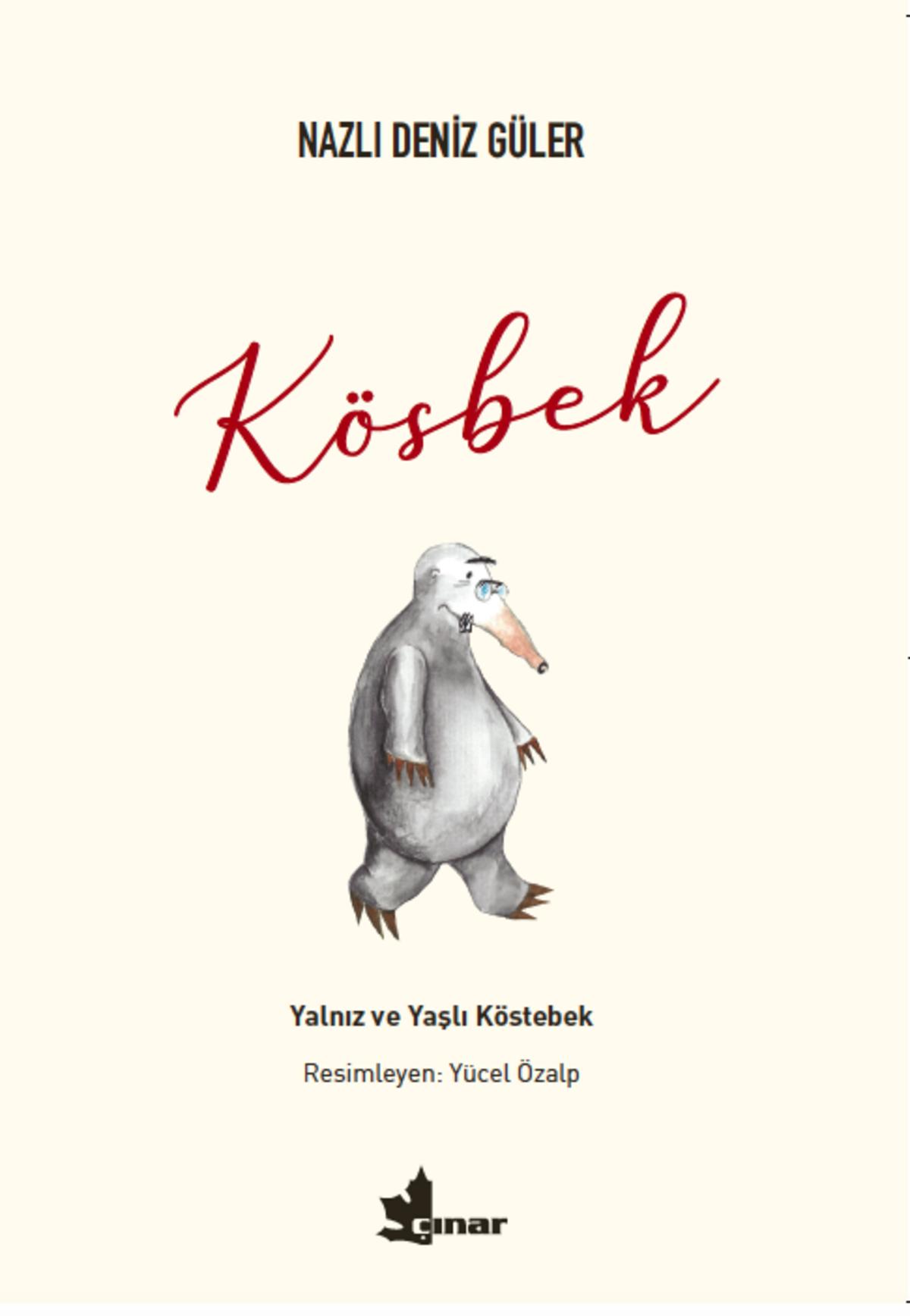 Kırmızı Kedi