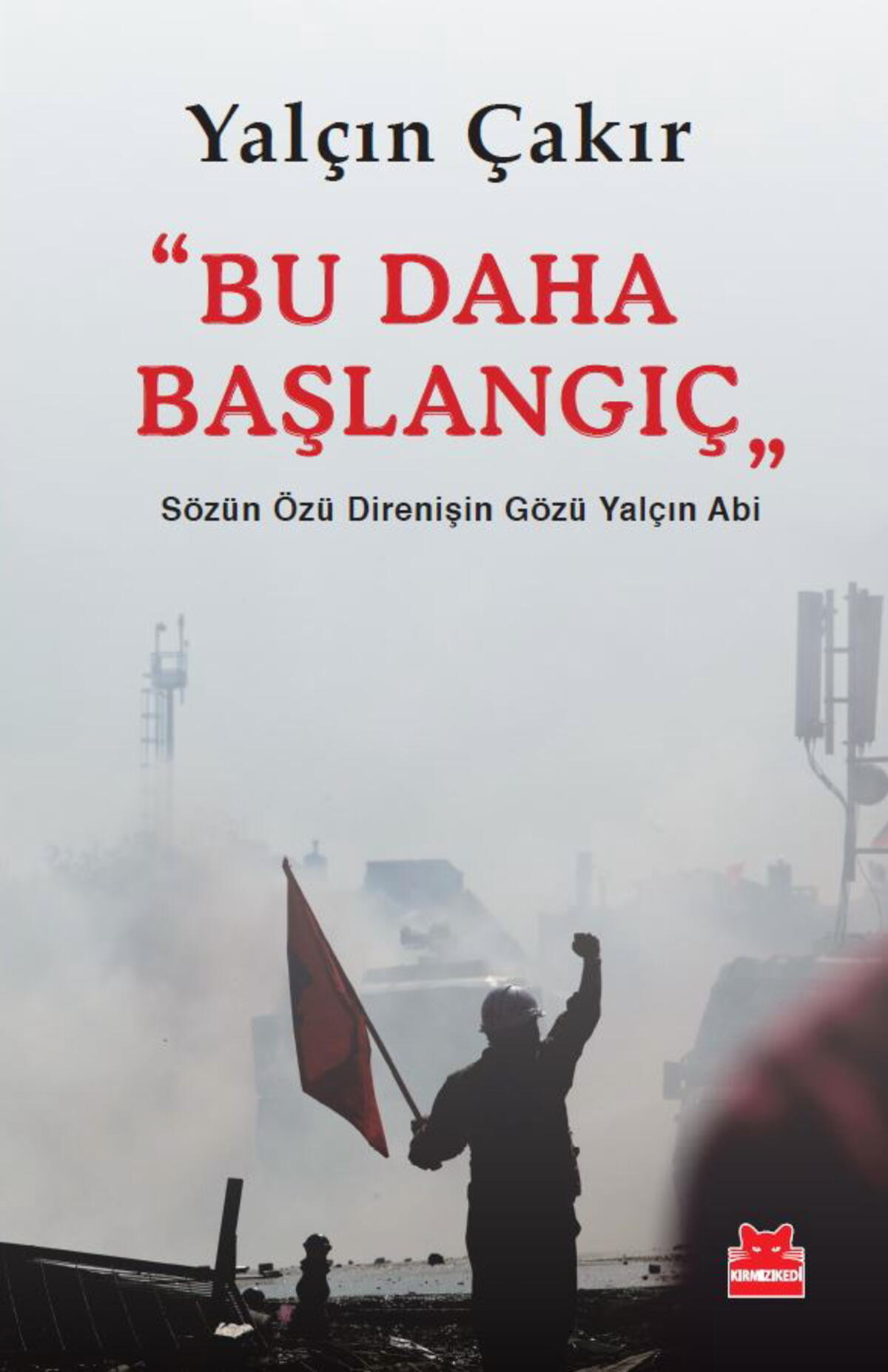 Kırmızı Kedi