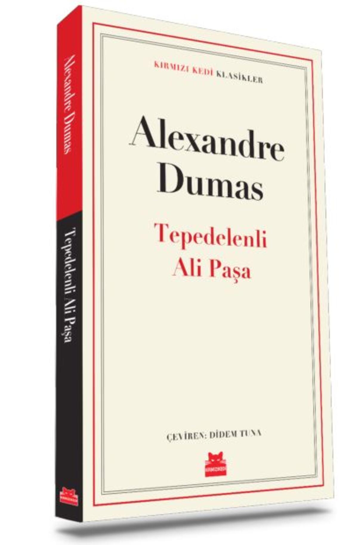 Kırmızı Kedi