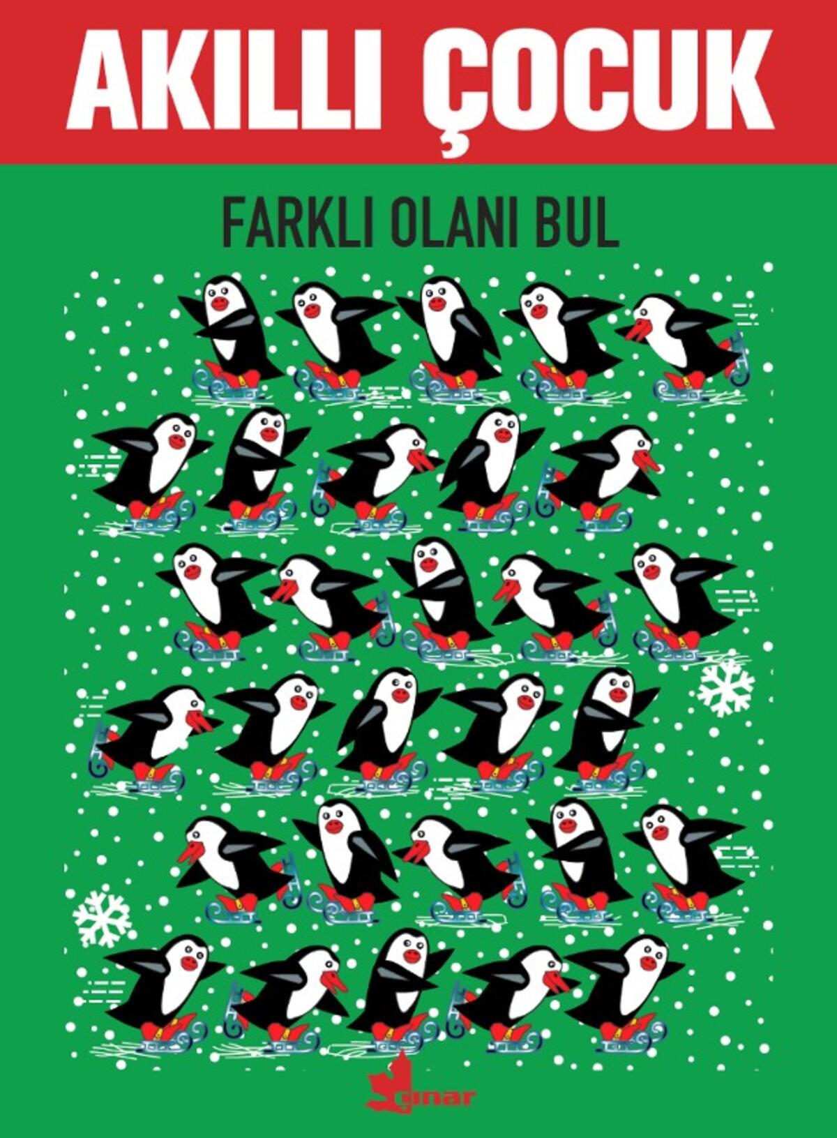 Kırmızı Kedi