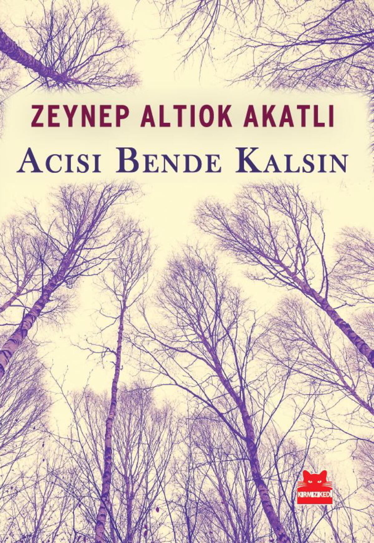 Kırmızı Kedi