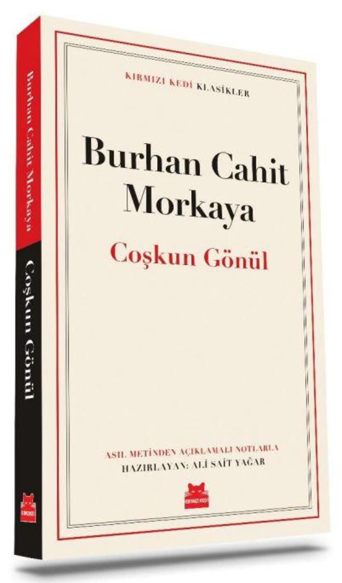 Kırmızı Kedi