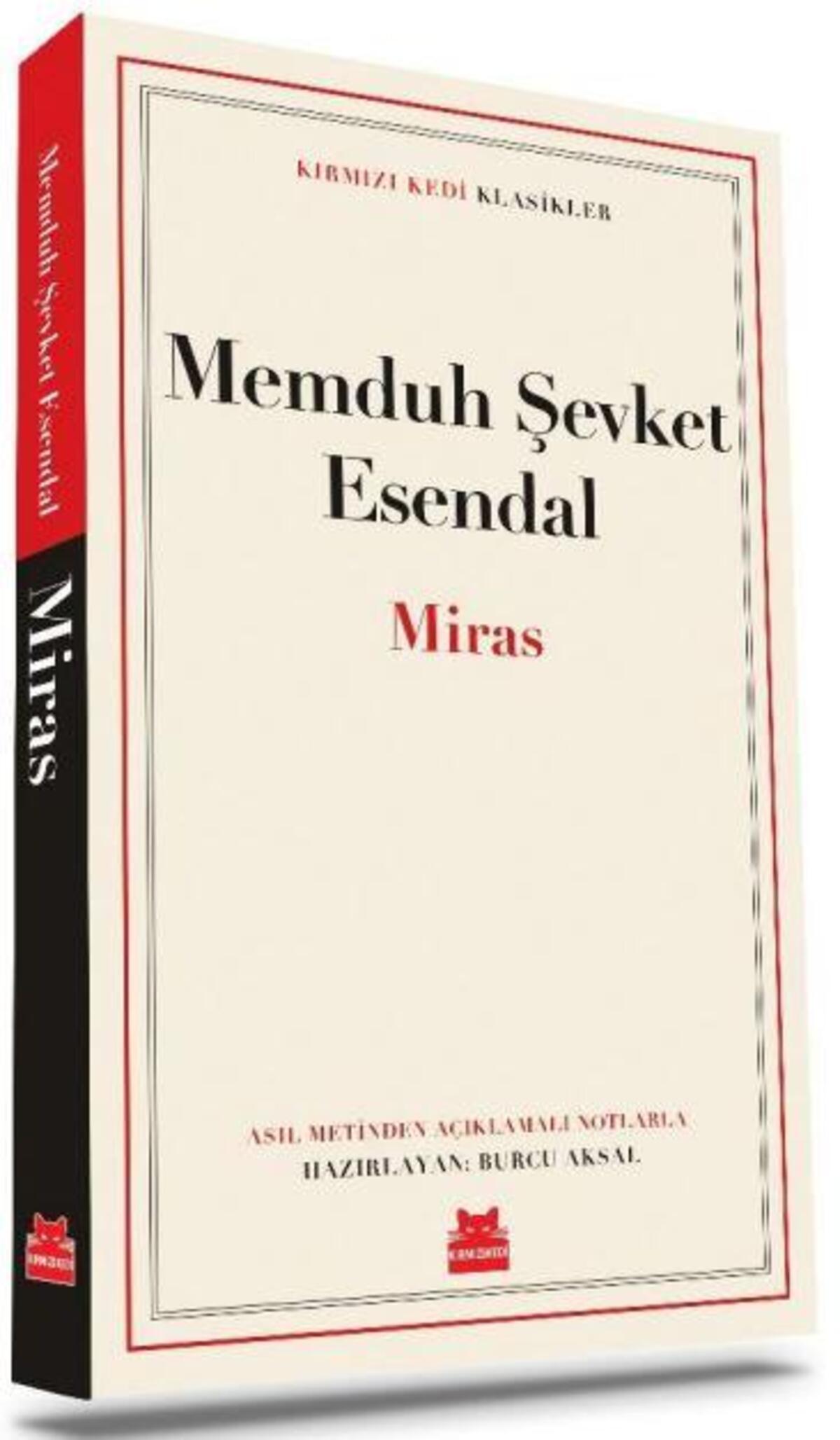 Kırmızı Kedi