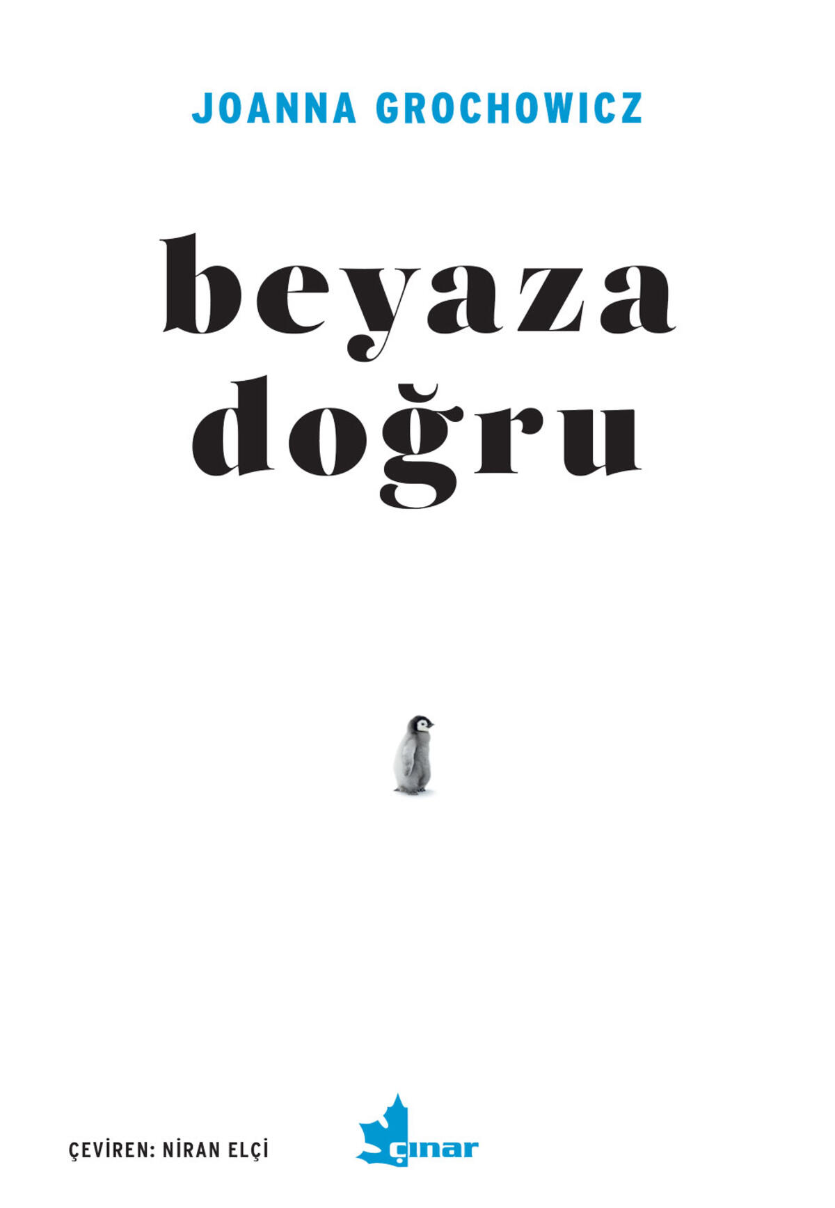 Kırmızı Kedi