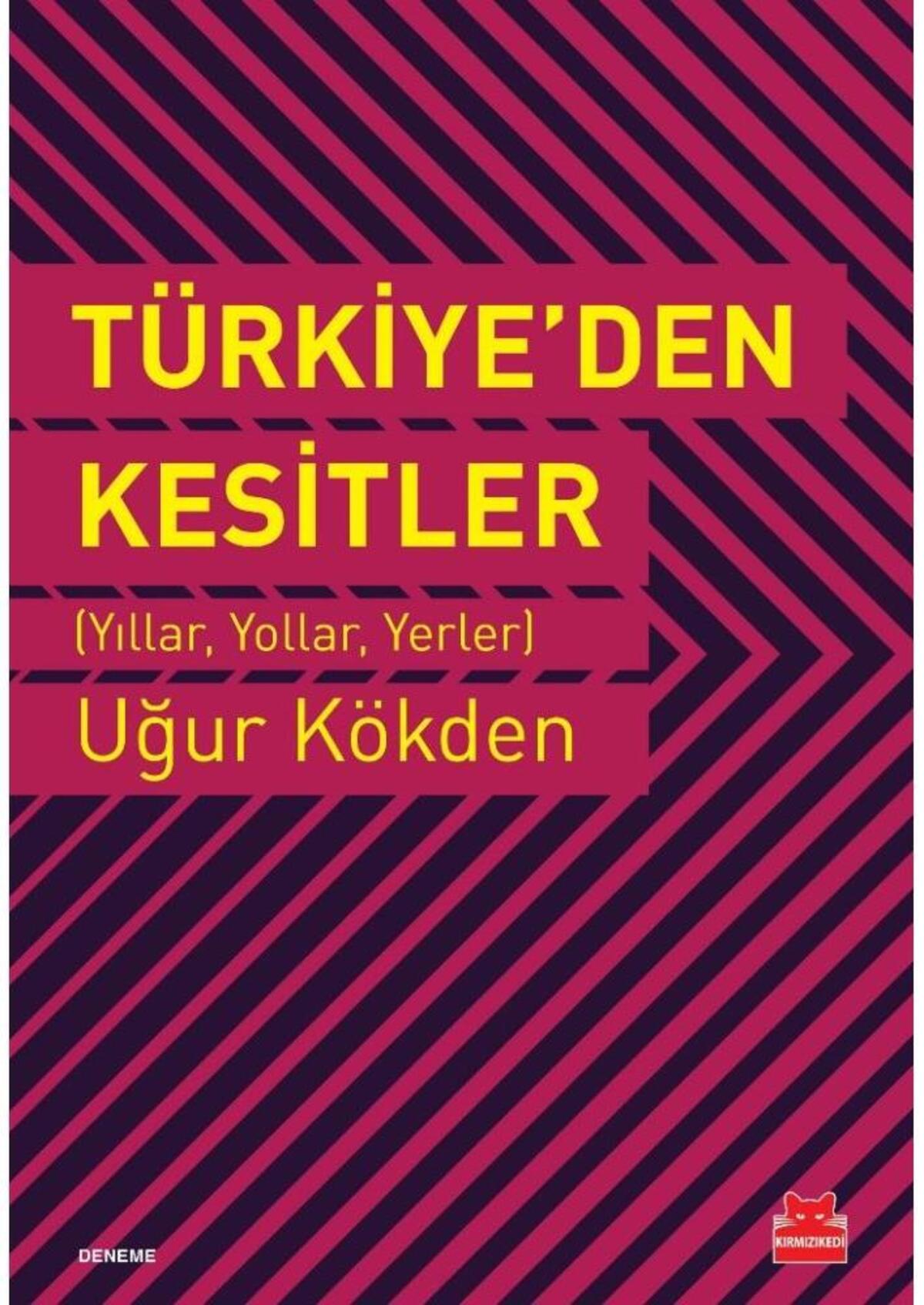 Kırmızı Kedi