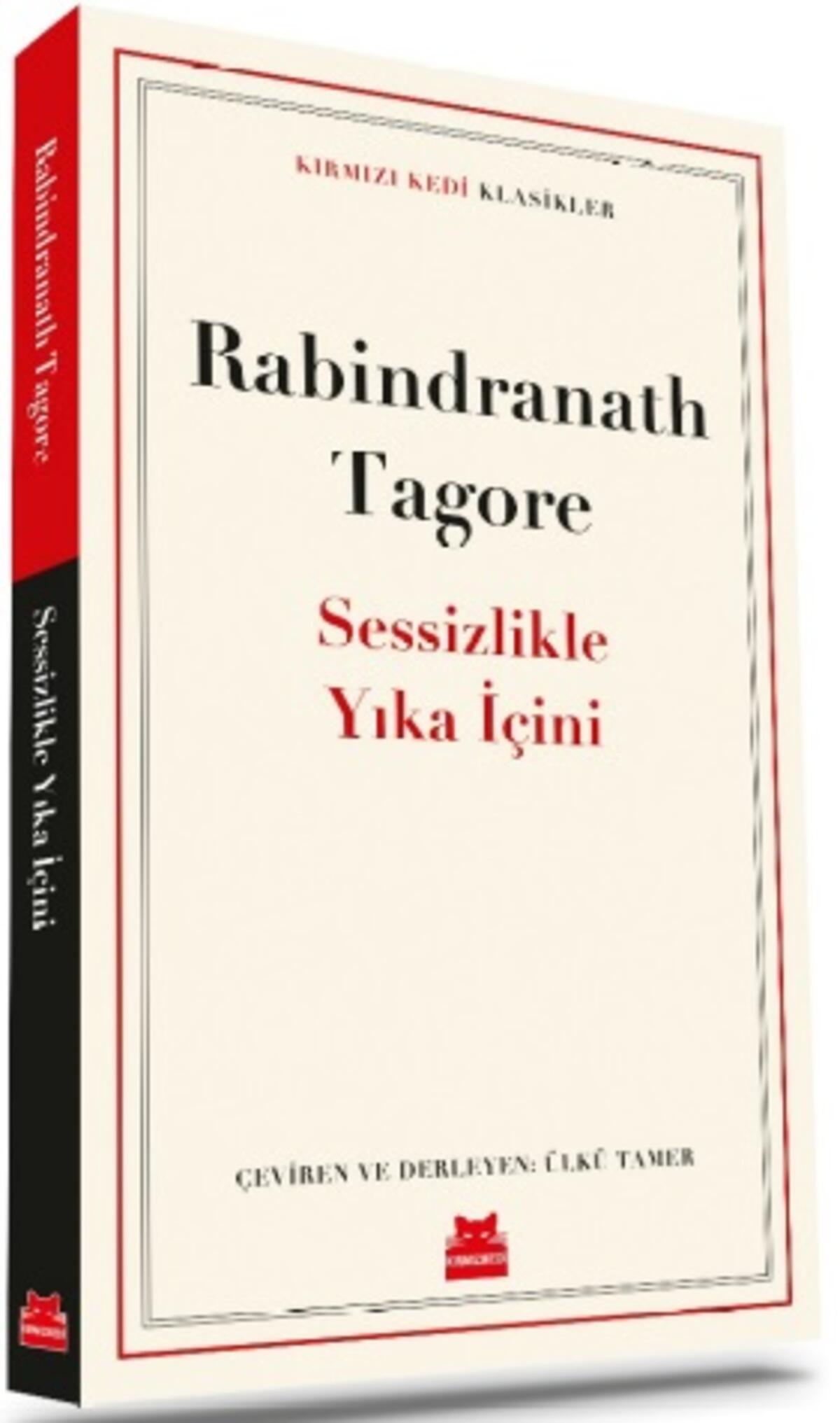Kırmızı Kedi
