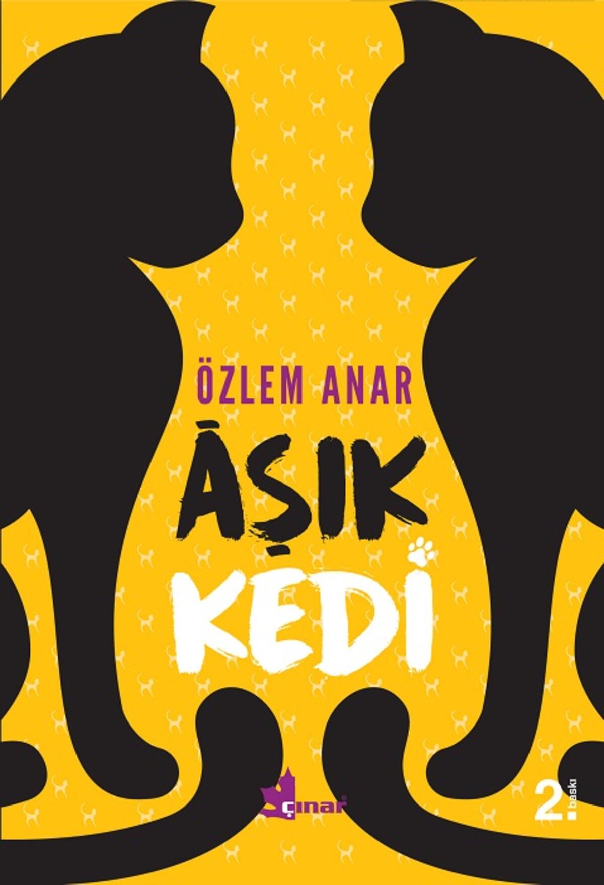 Kırmızı Kedi
