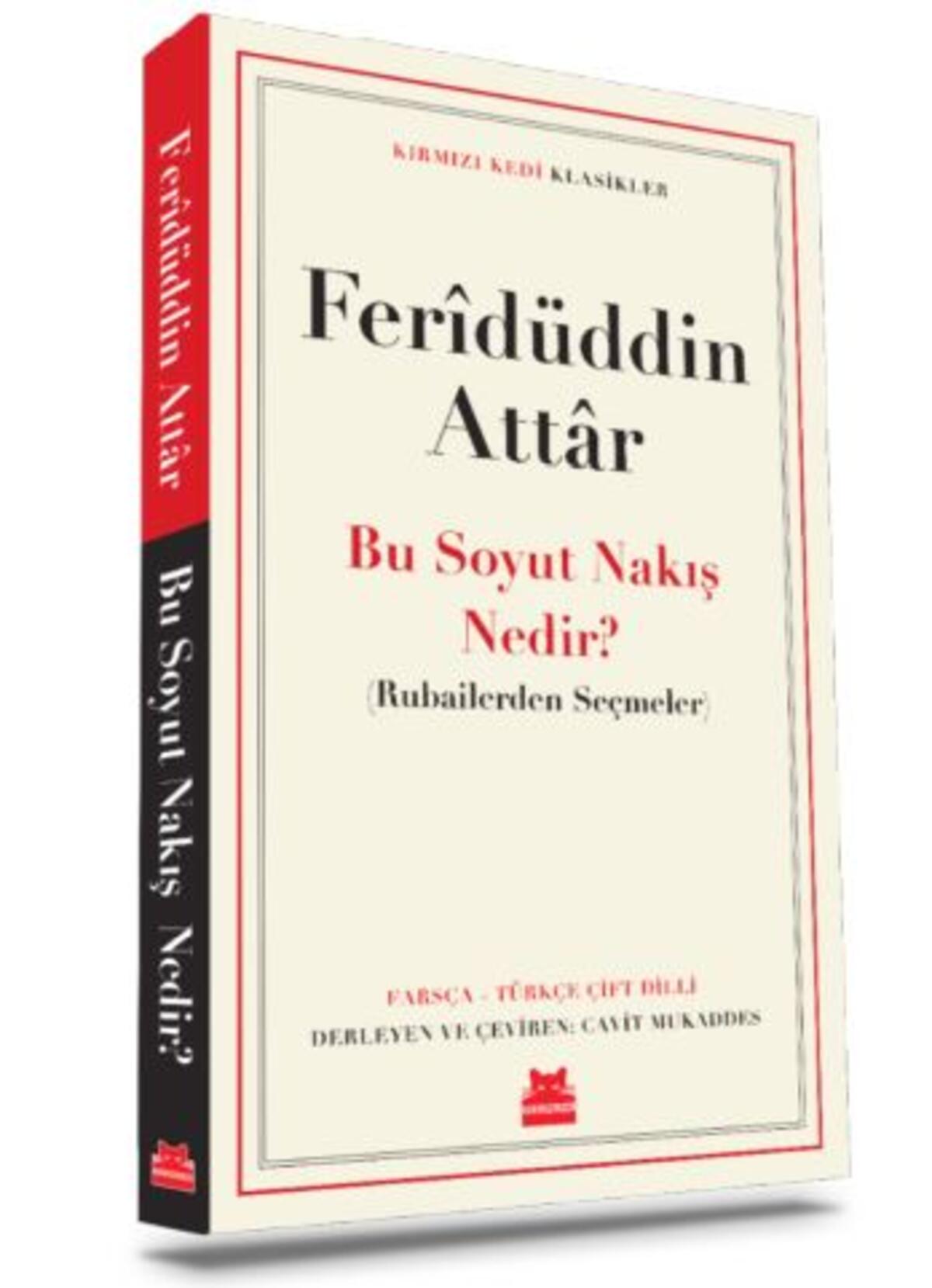 Kırmızı Kedi