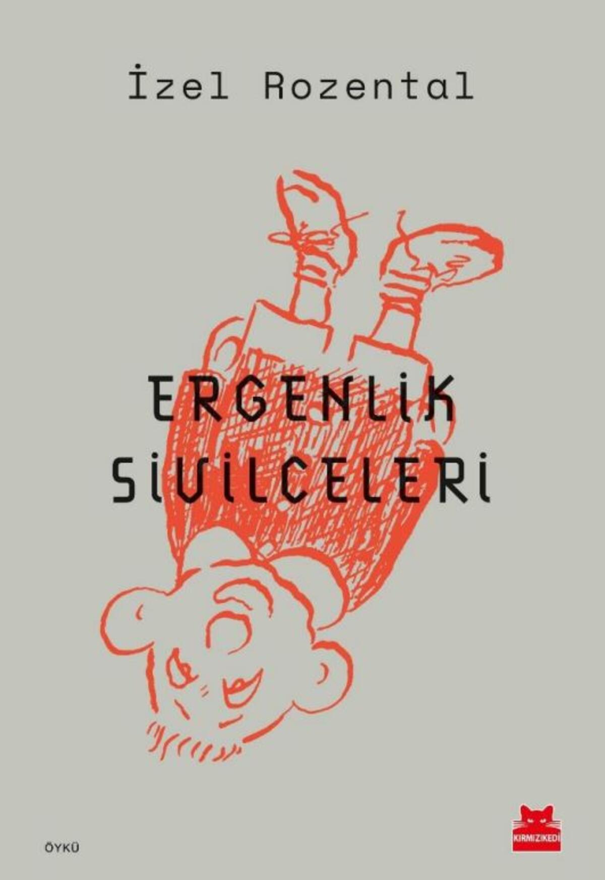 Kırmızı Kedi