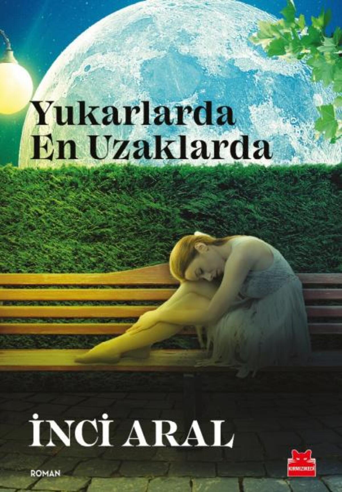 Kırmızı Kedi