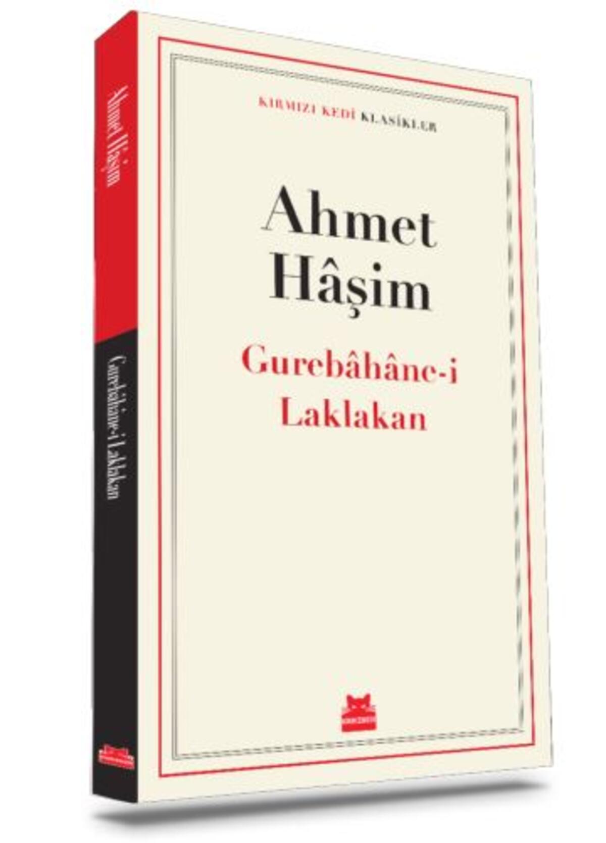 Kırmızı Kedi