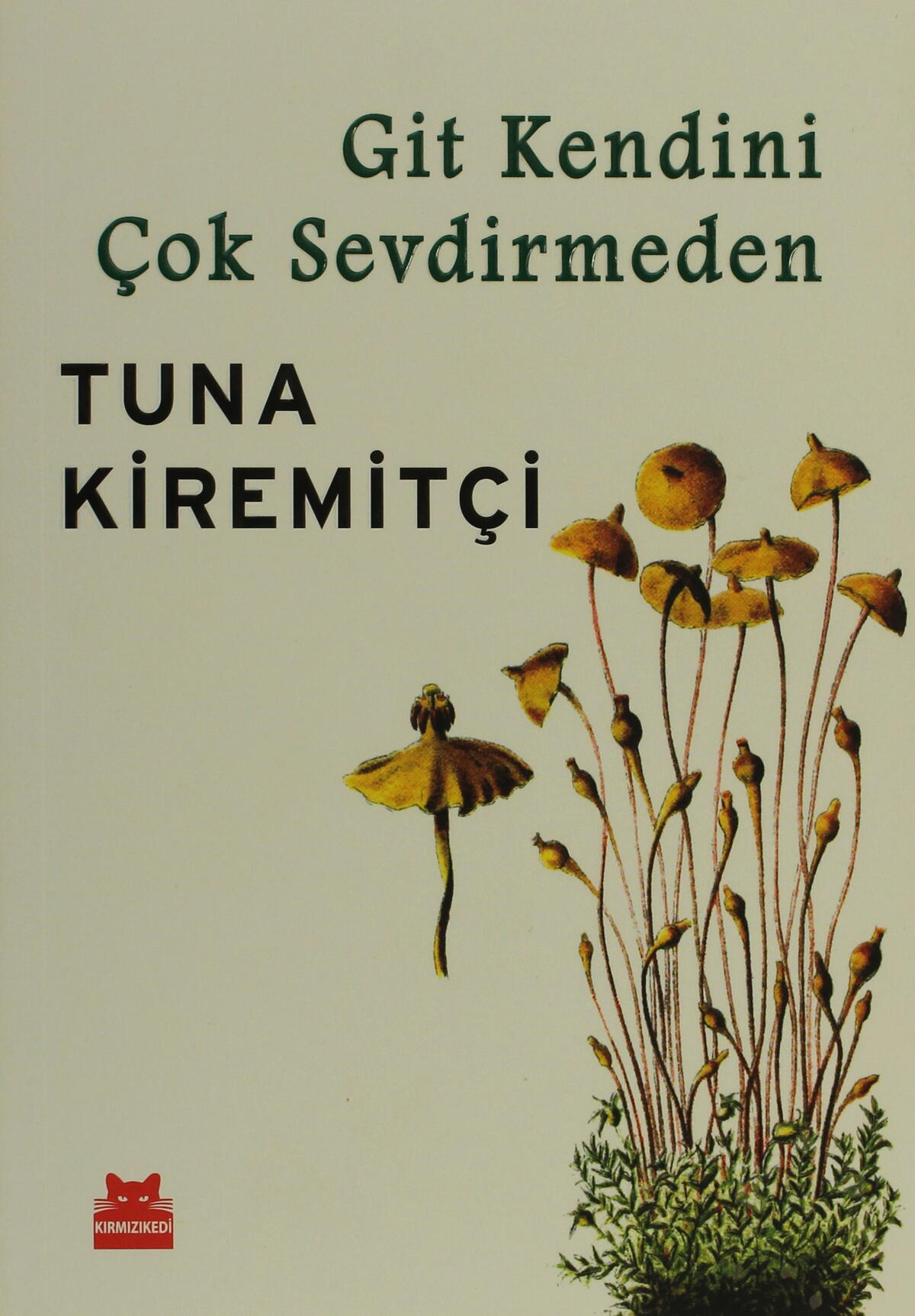 Kırmızı Kedi