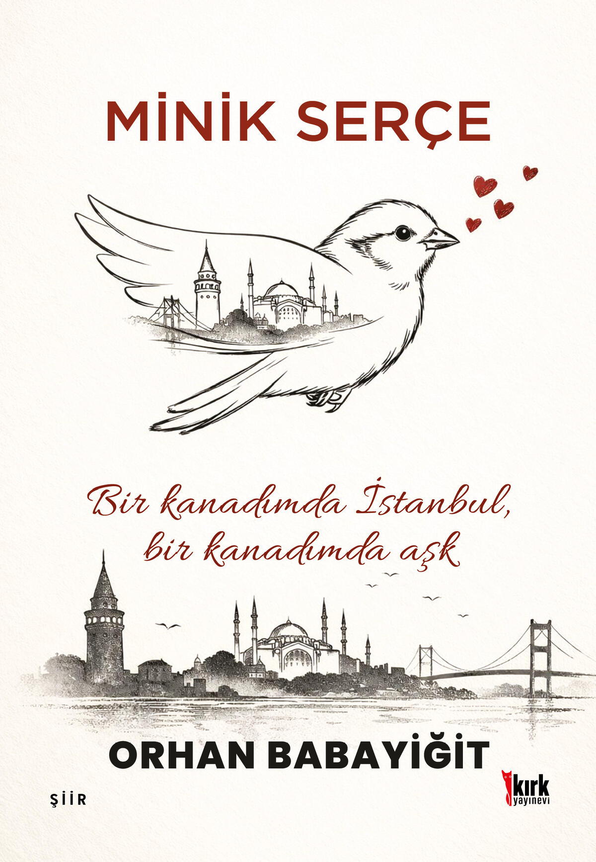 Kırmızı Kedi
