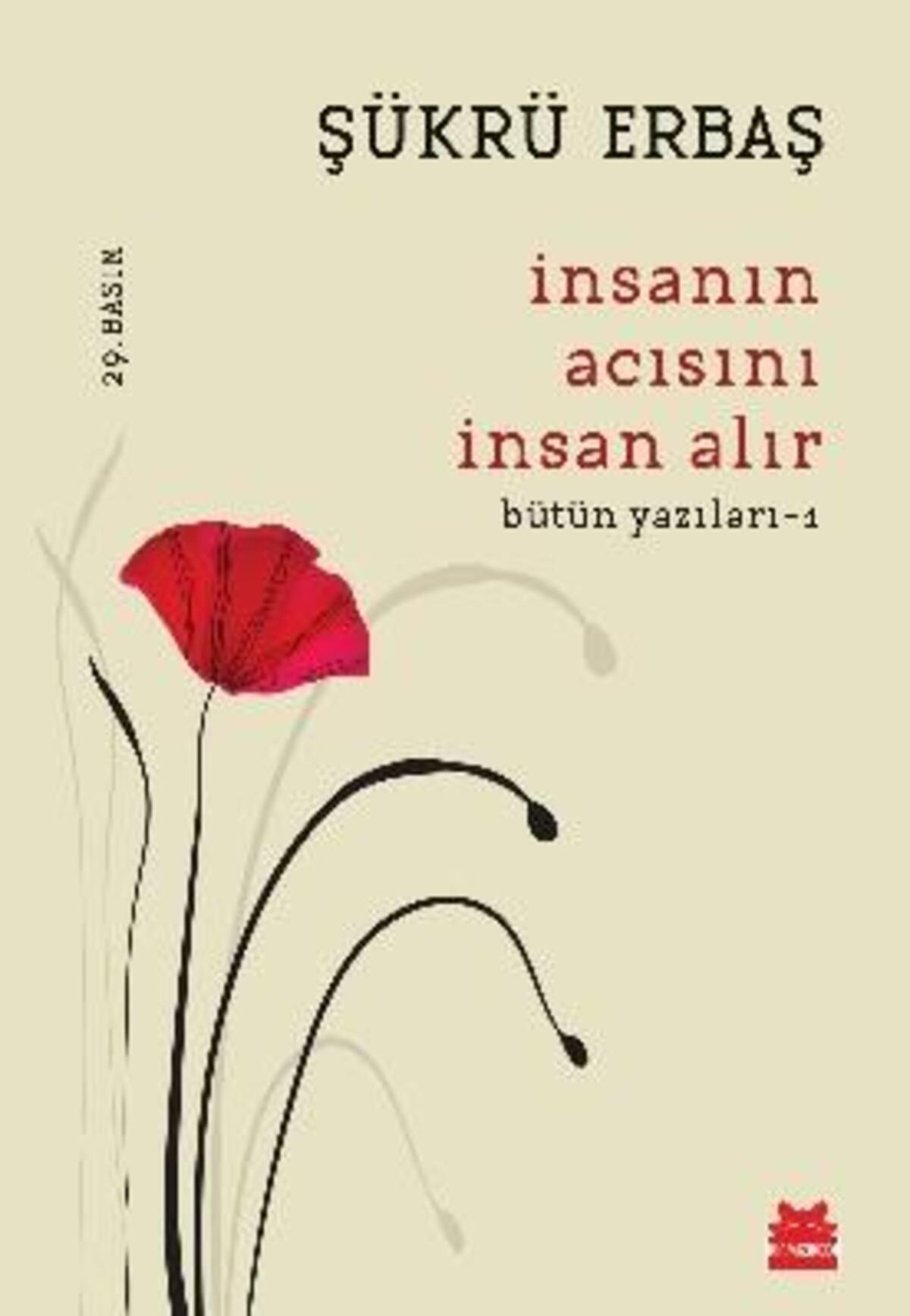 Kırmızı Kedi