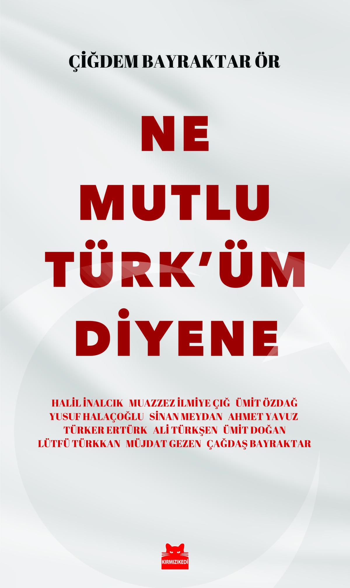 Kırmızı Kedi