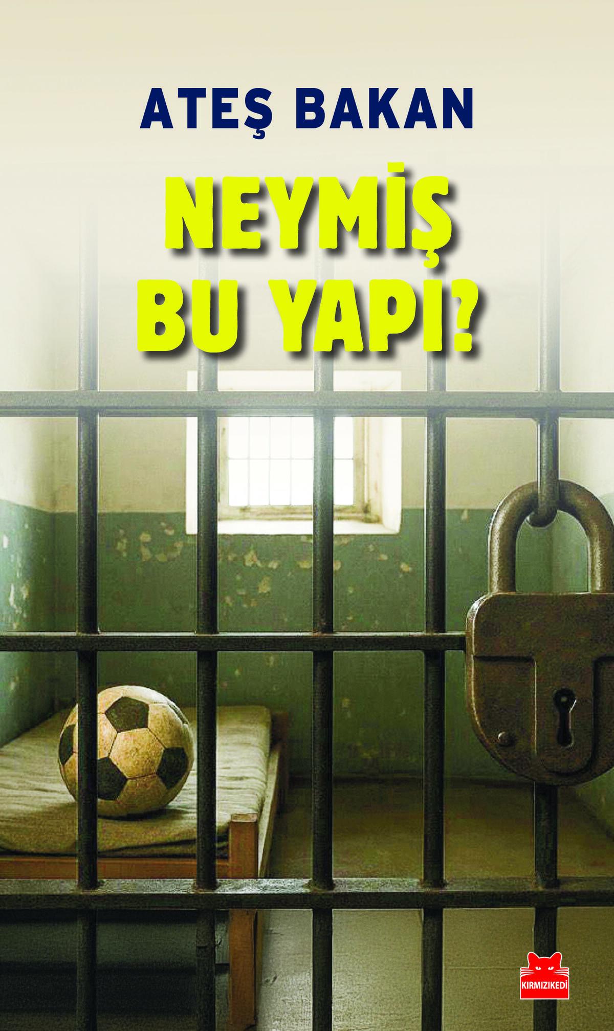 Kırmızı Kedi