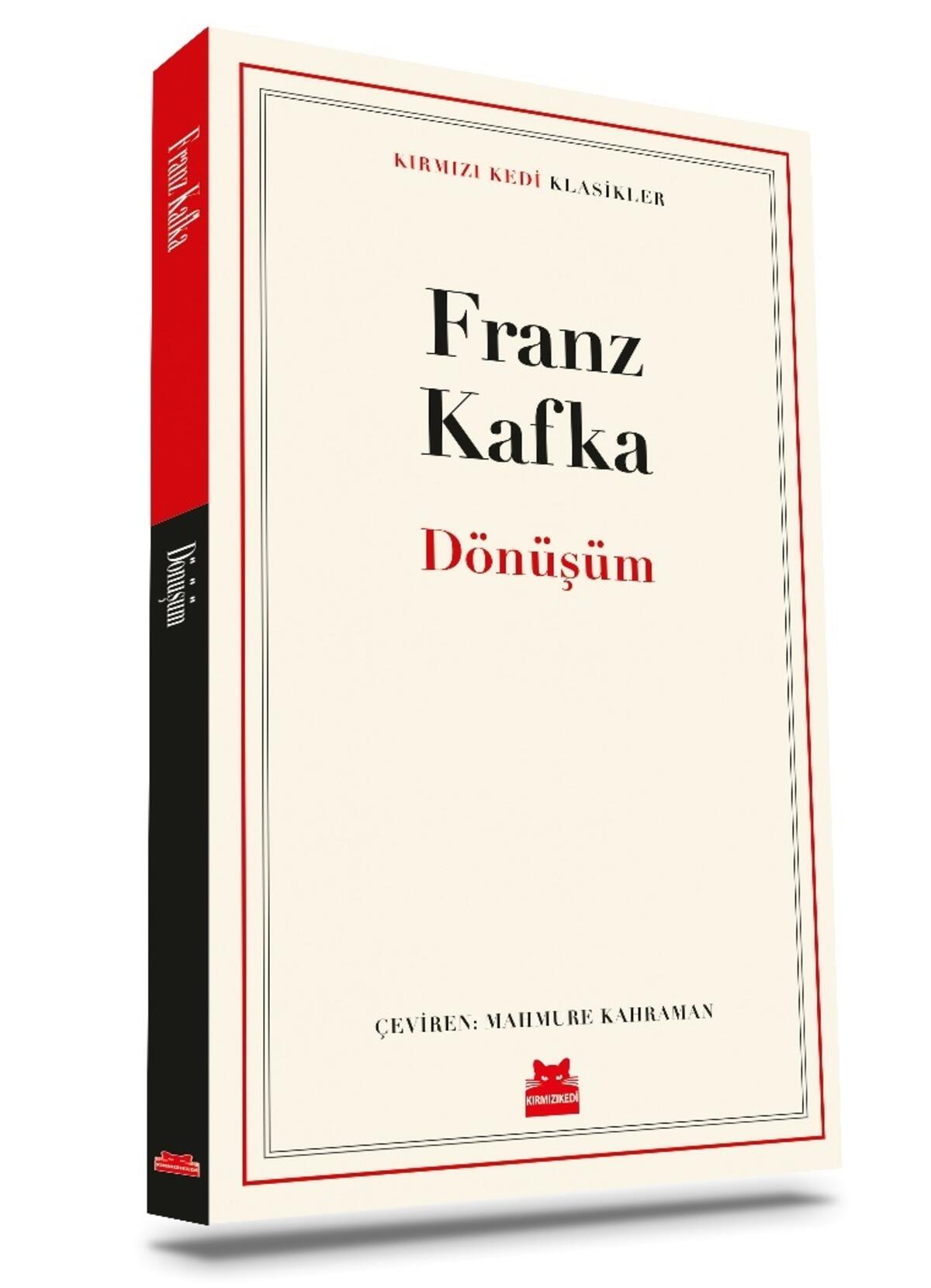 Kırmızı Kedi