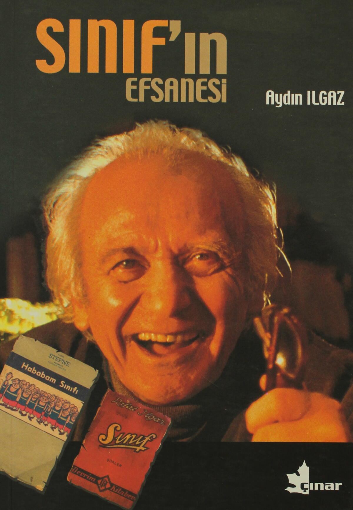 Kırmızı Kedi