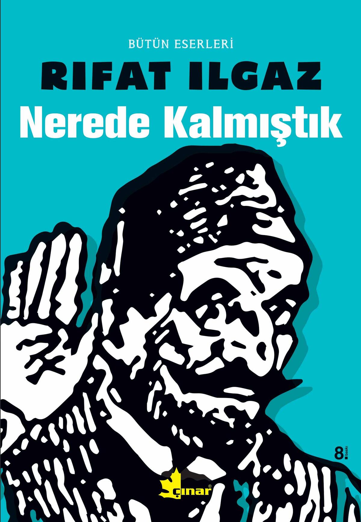 Kırmızı Kedi