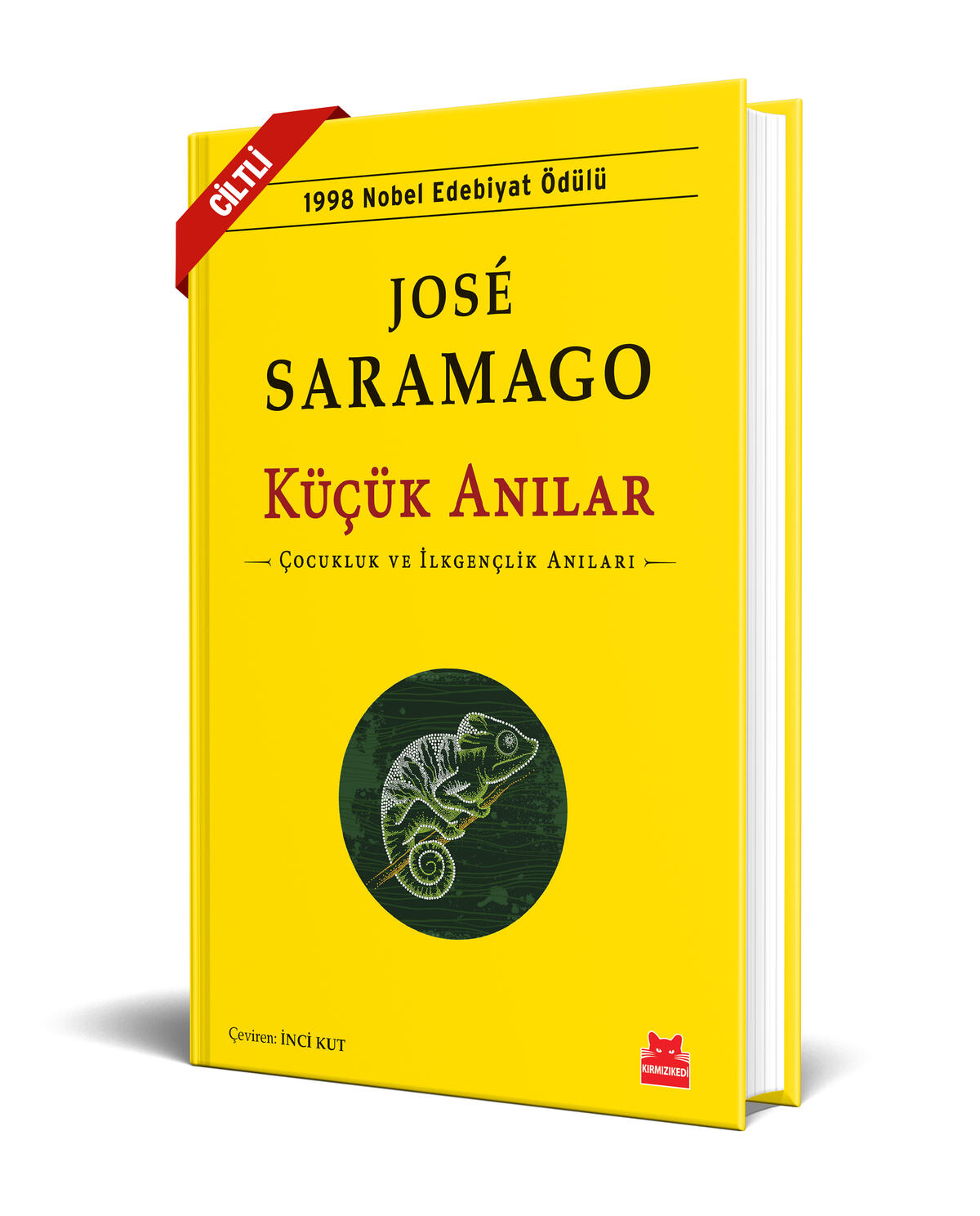 Kırmızı Kedi