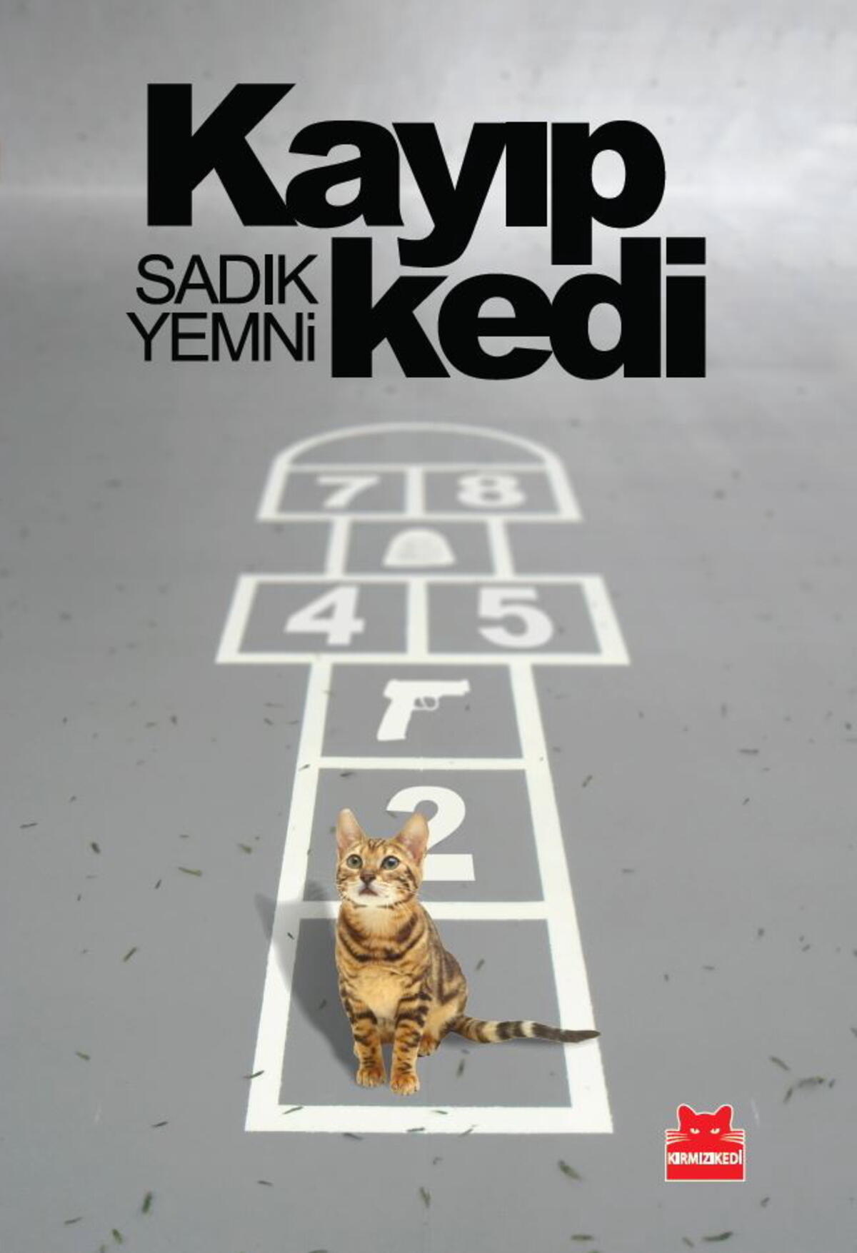 Kırmızı Kedi