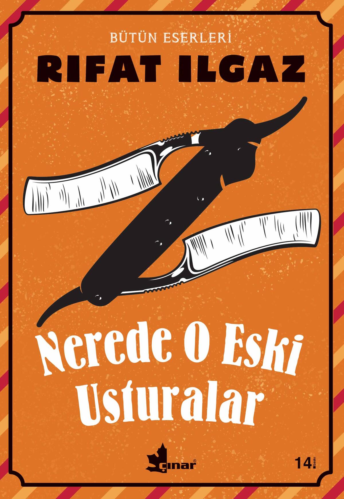 Kırmızı Kedi