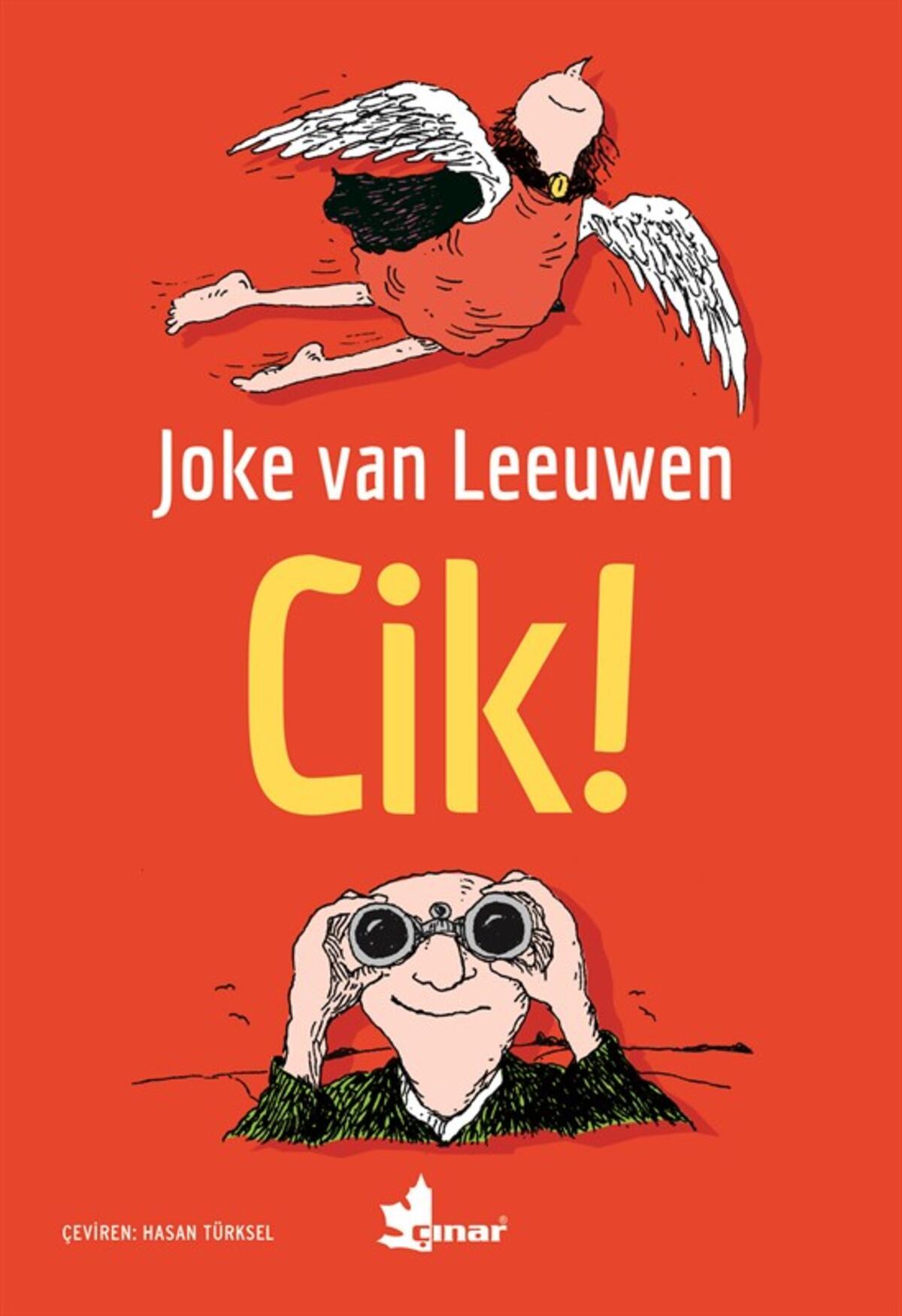 Kırmızı Kedi