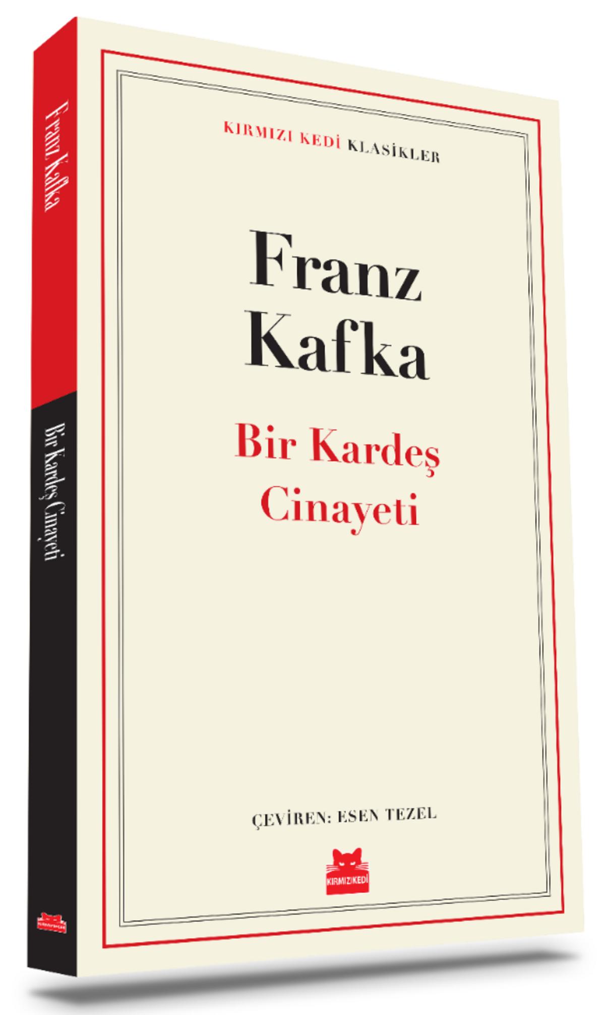 Kırmızı Kedi