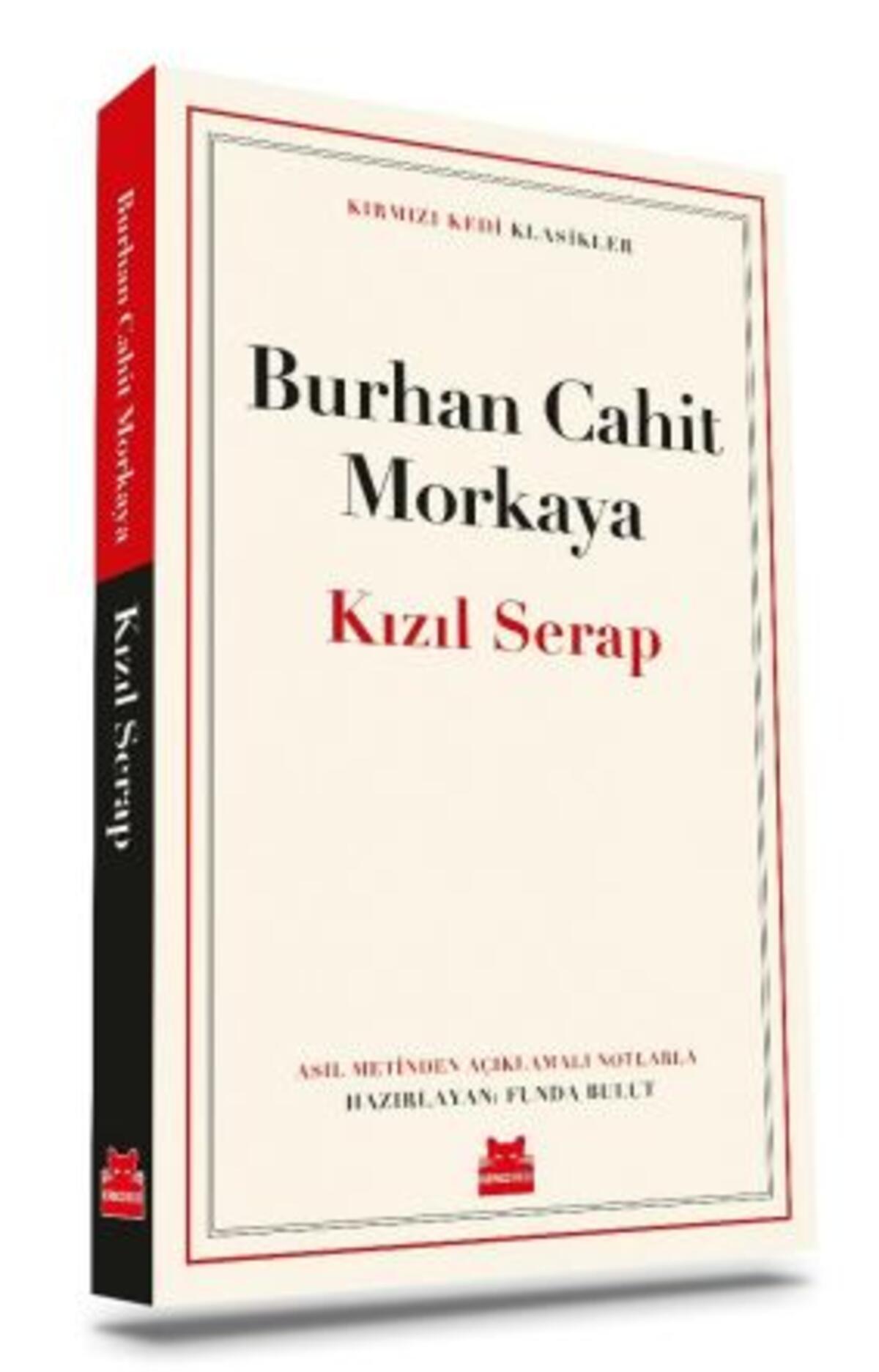 Kırmızı Kedi