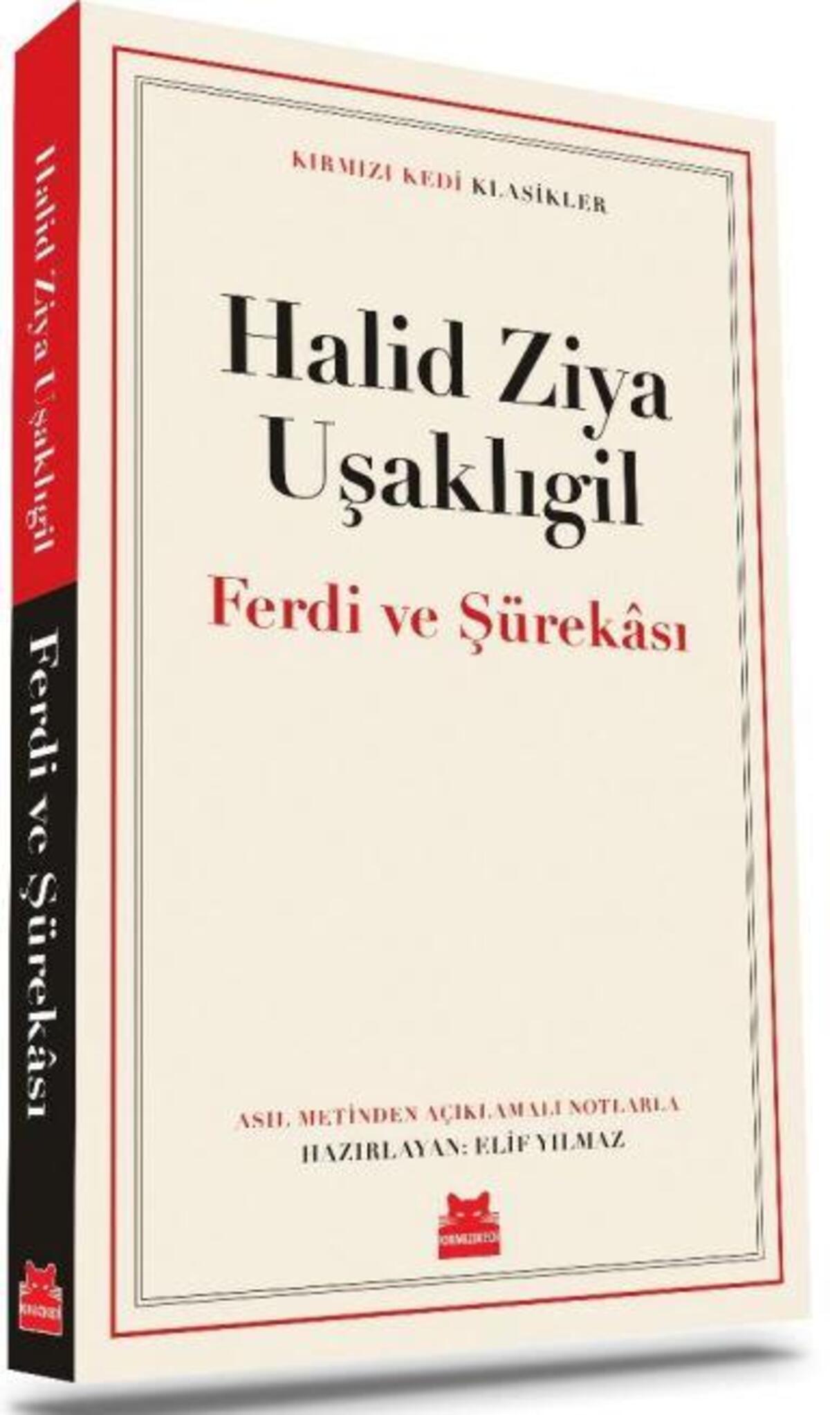 Kırmızı Kedi