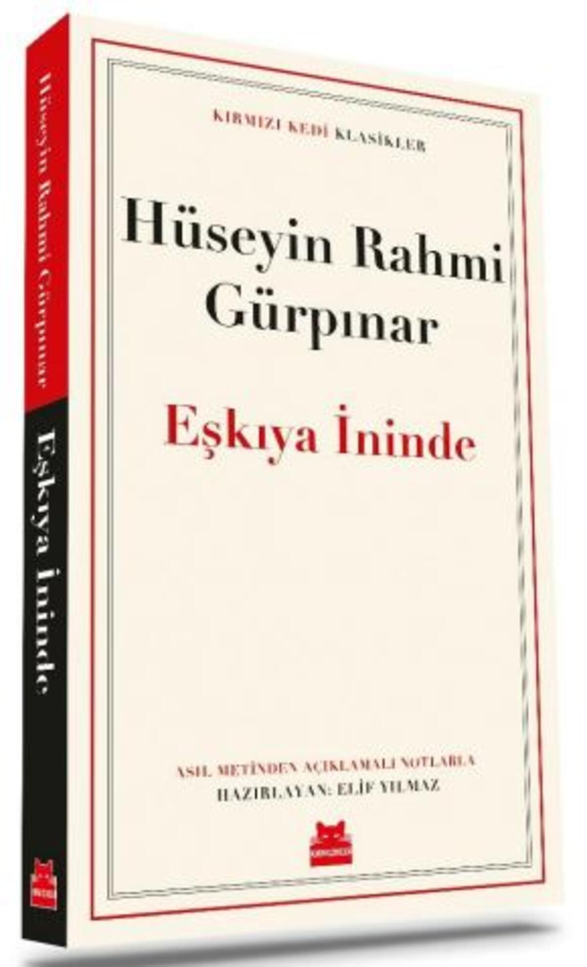 Kırmızı Kedi