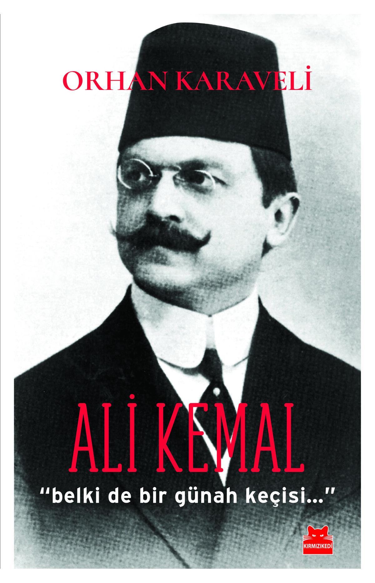 Kırmızı Kedi