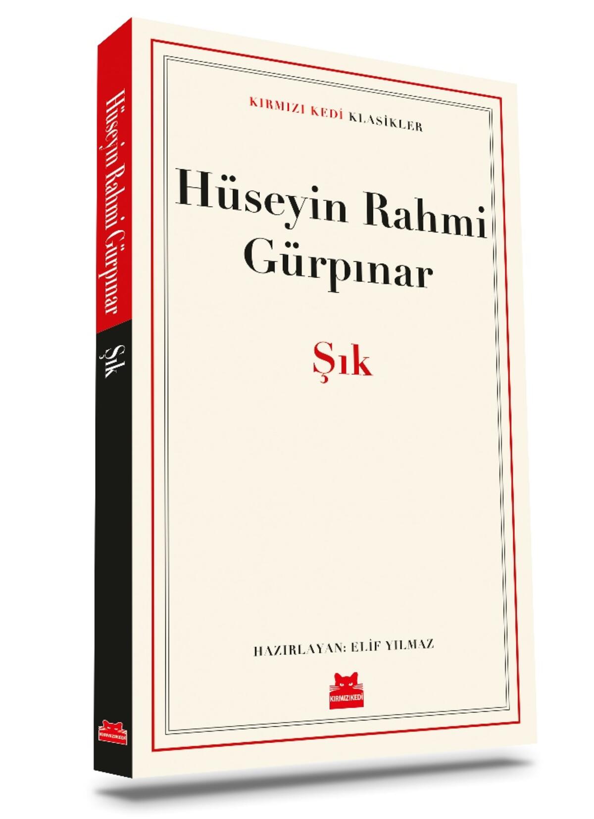 Kırmızı Kedi