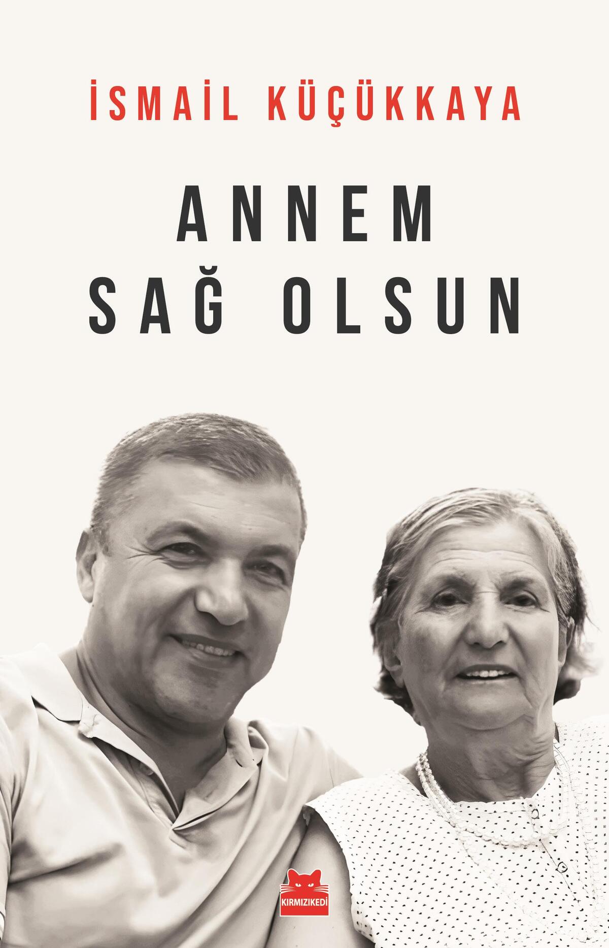 Kırmızı Kedi