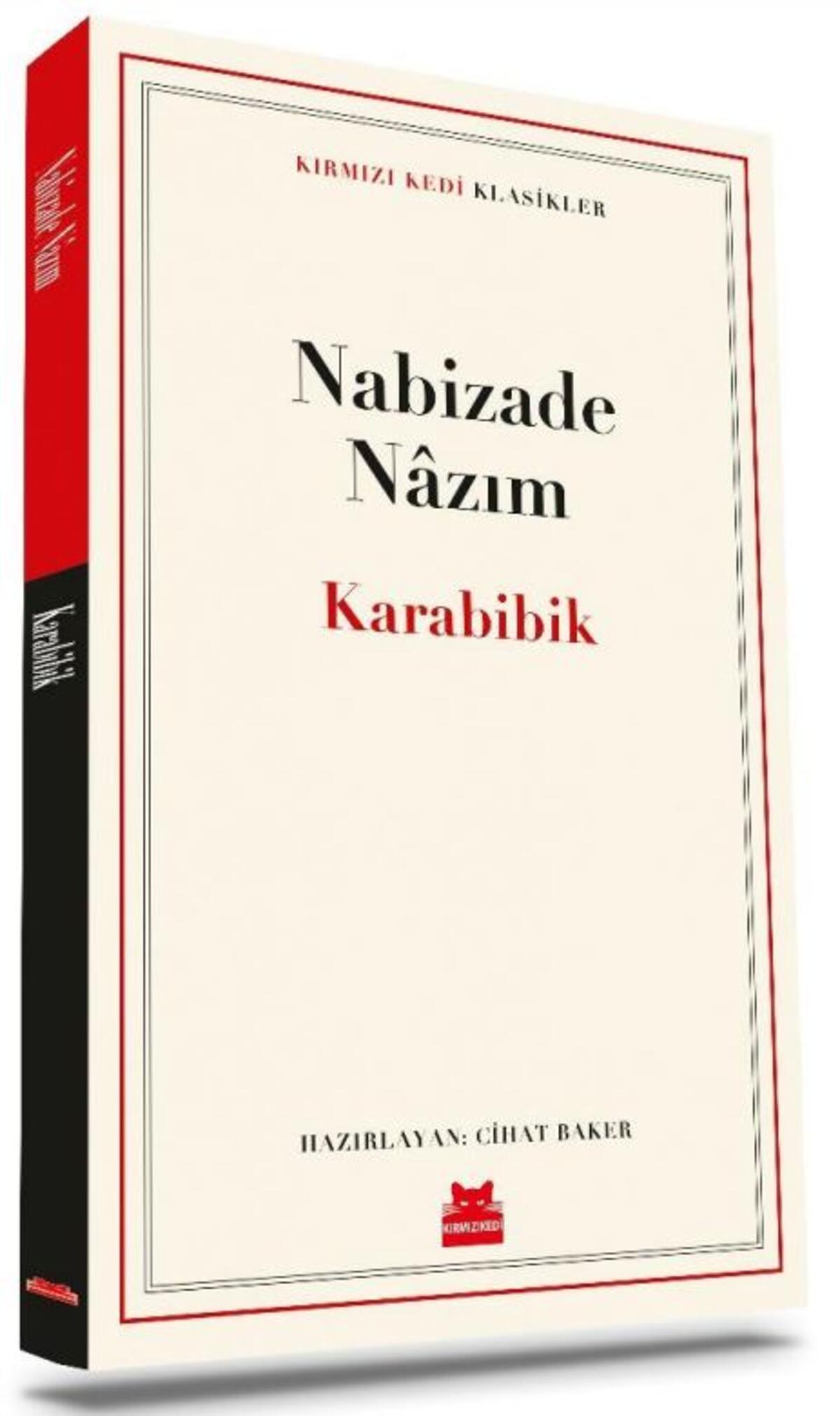 Kırmızı Kedi