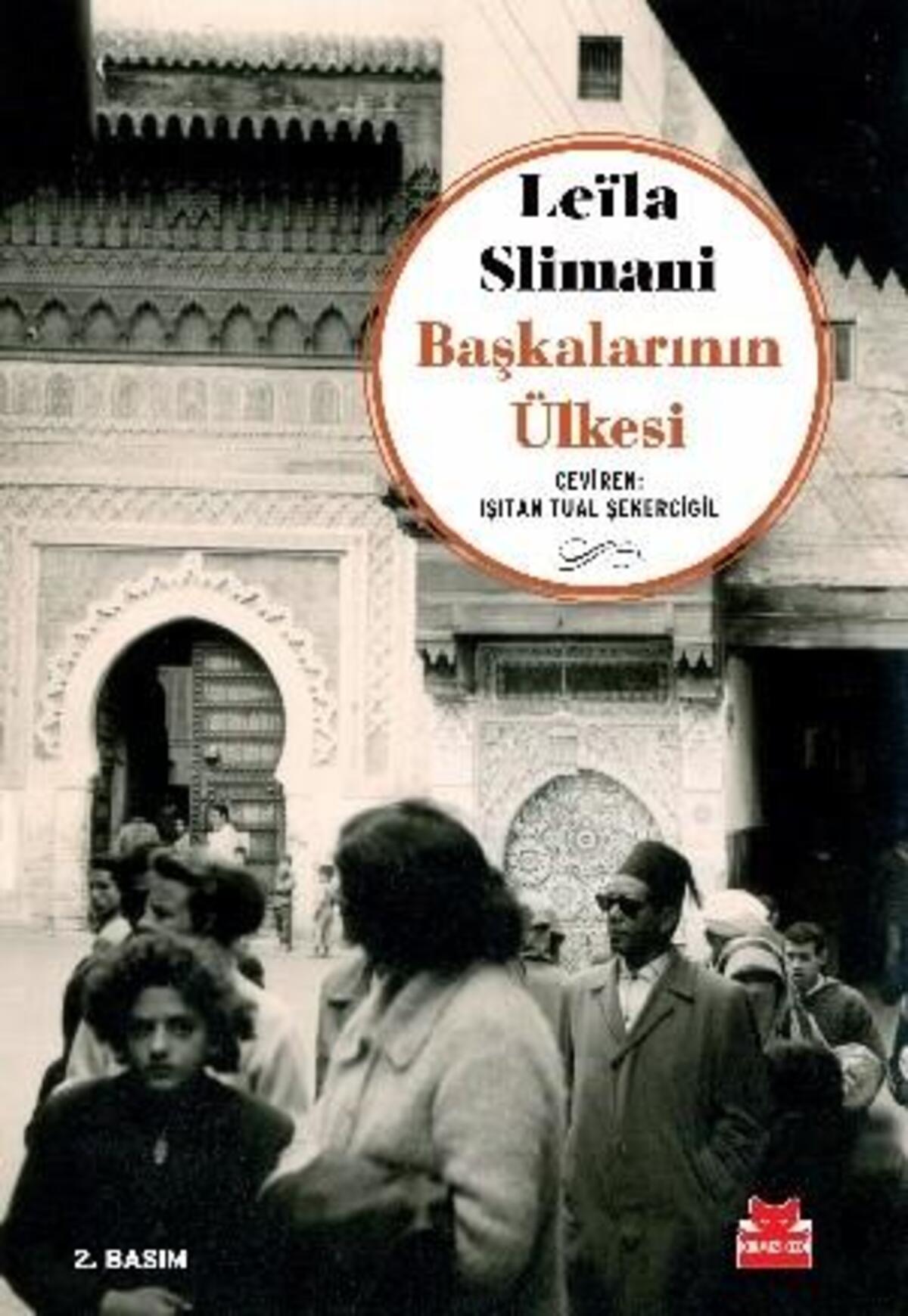 Kırmızı Kedi