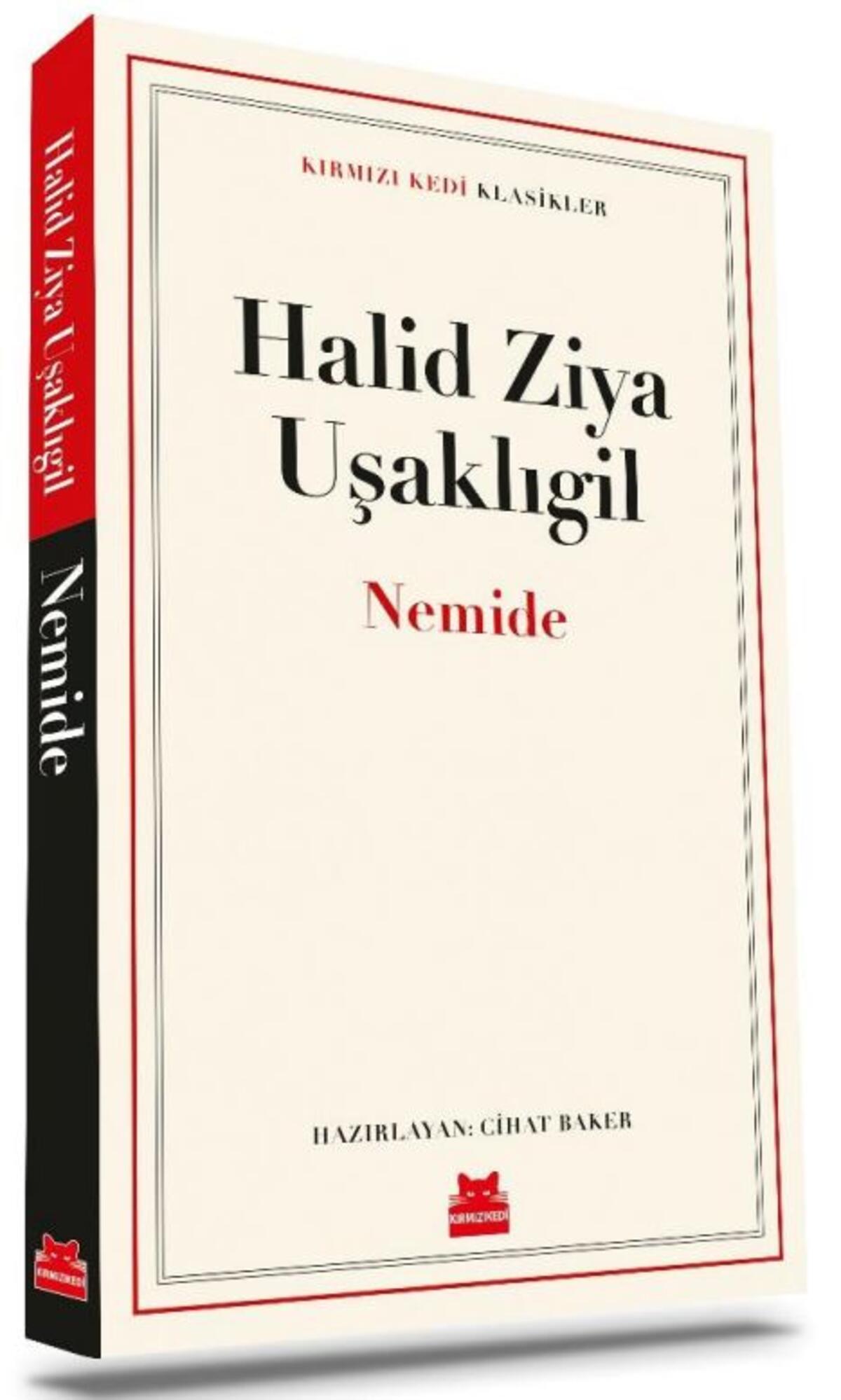 Kırmızı Kedi