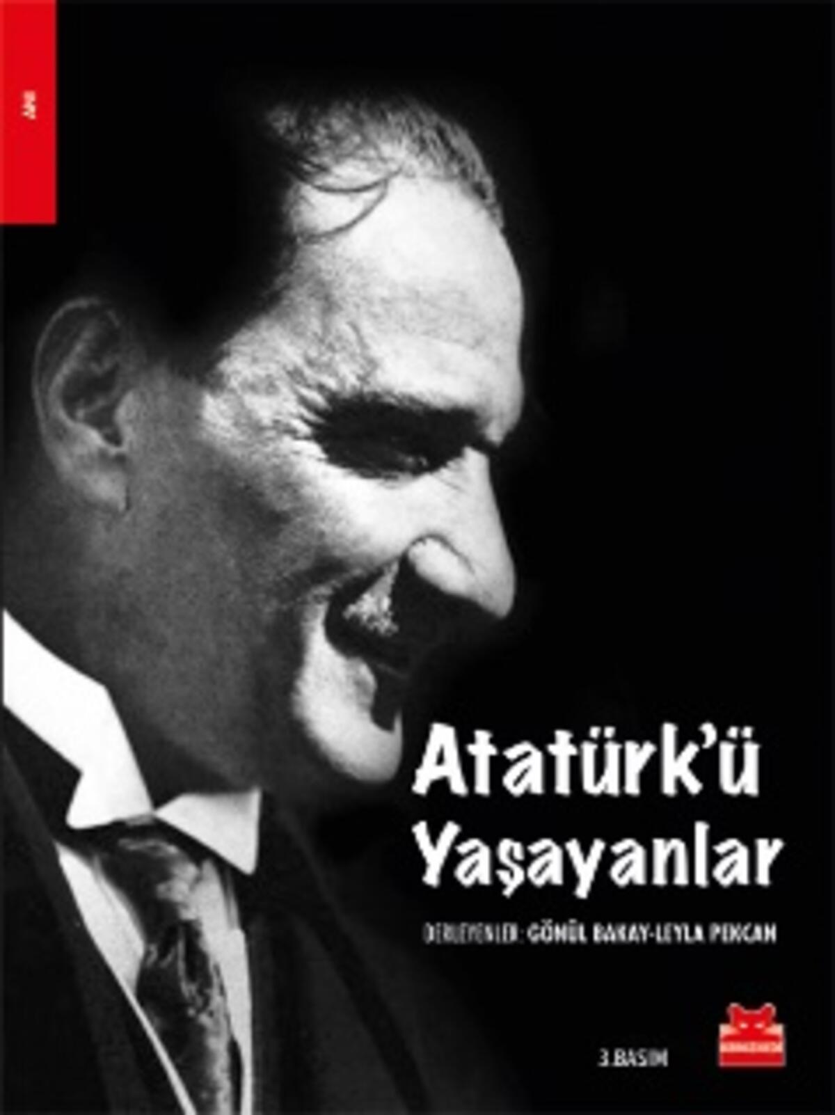 Kırmızı Kedi