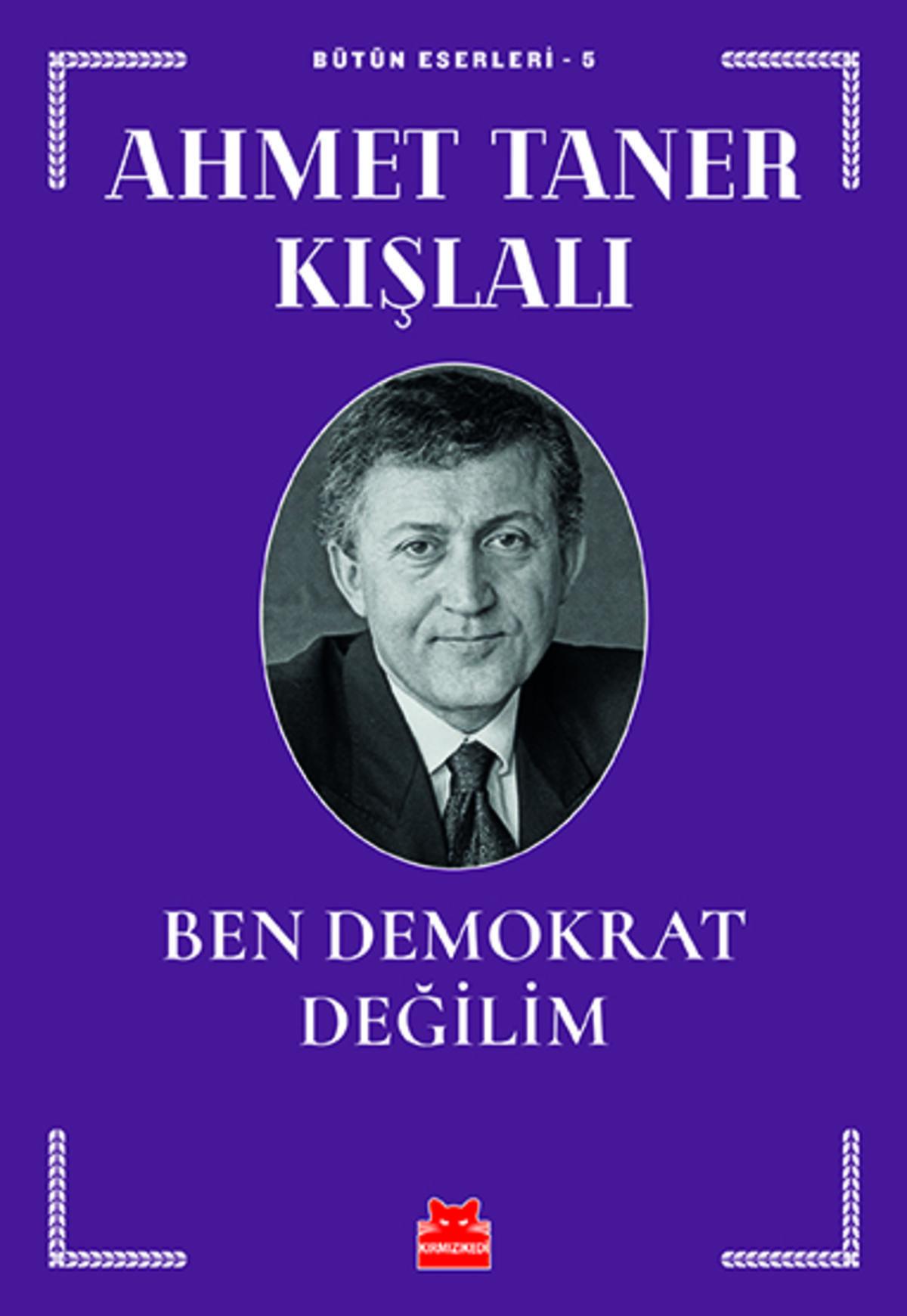 Kırmızı Kedi