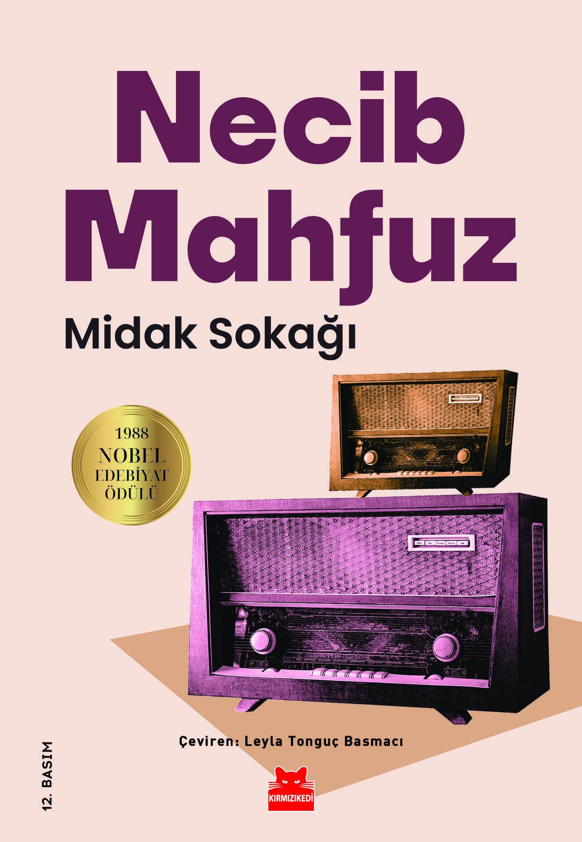 Kırmızı Kedi