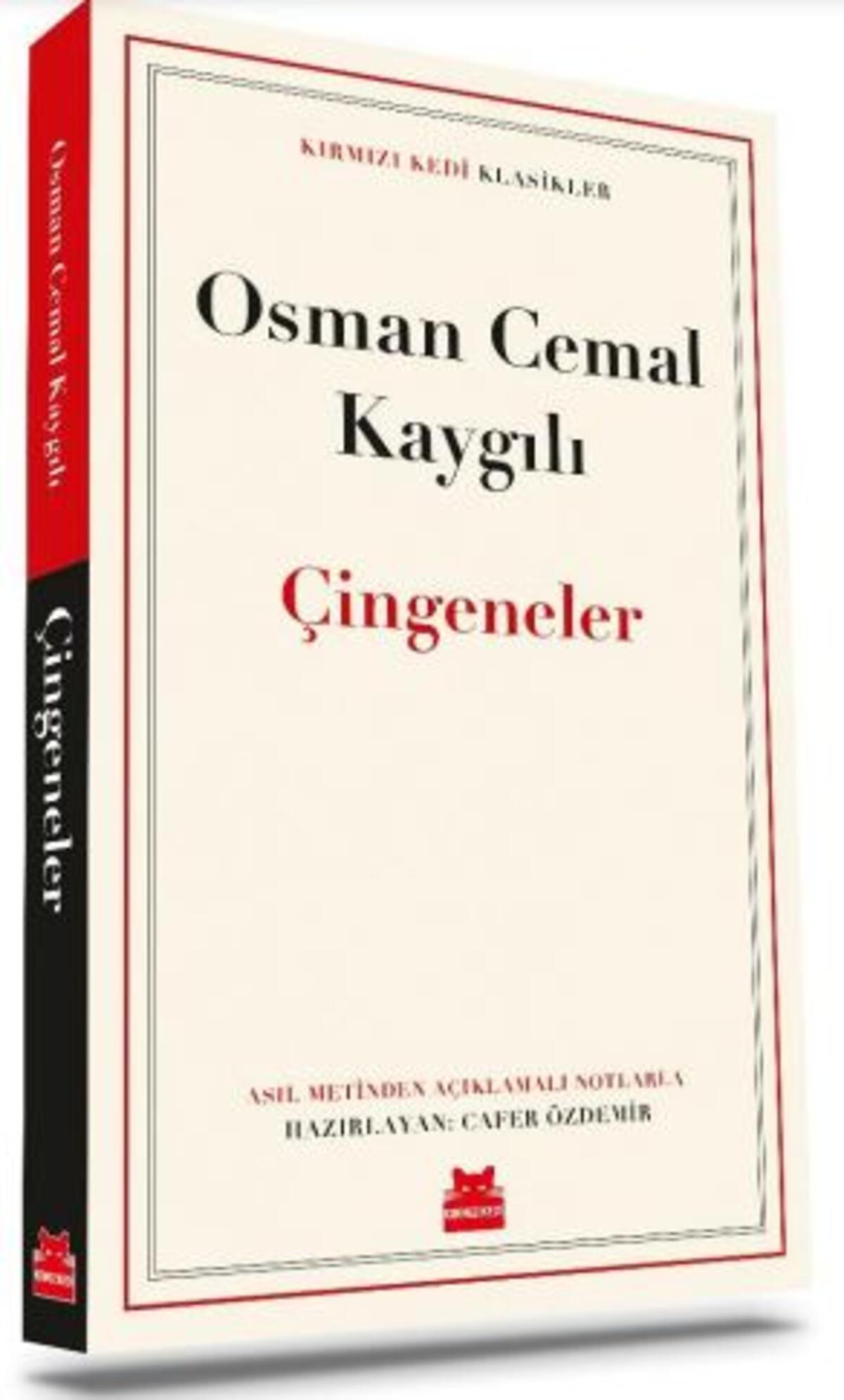 Kırmızı Kedi